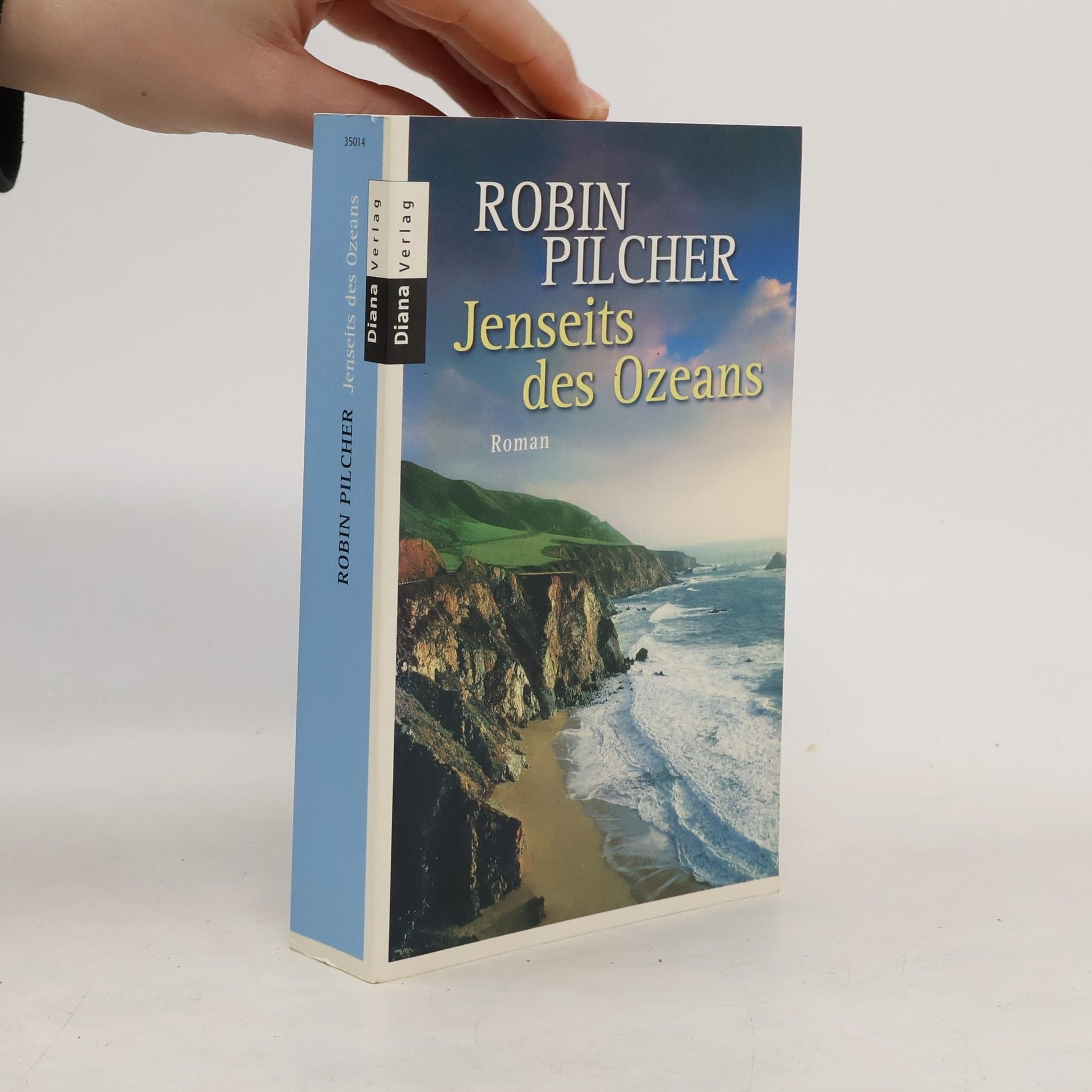 Robin Pilcher Jenseits des Ozeans