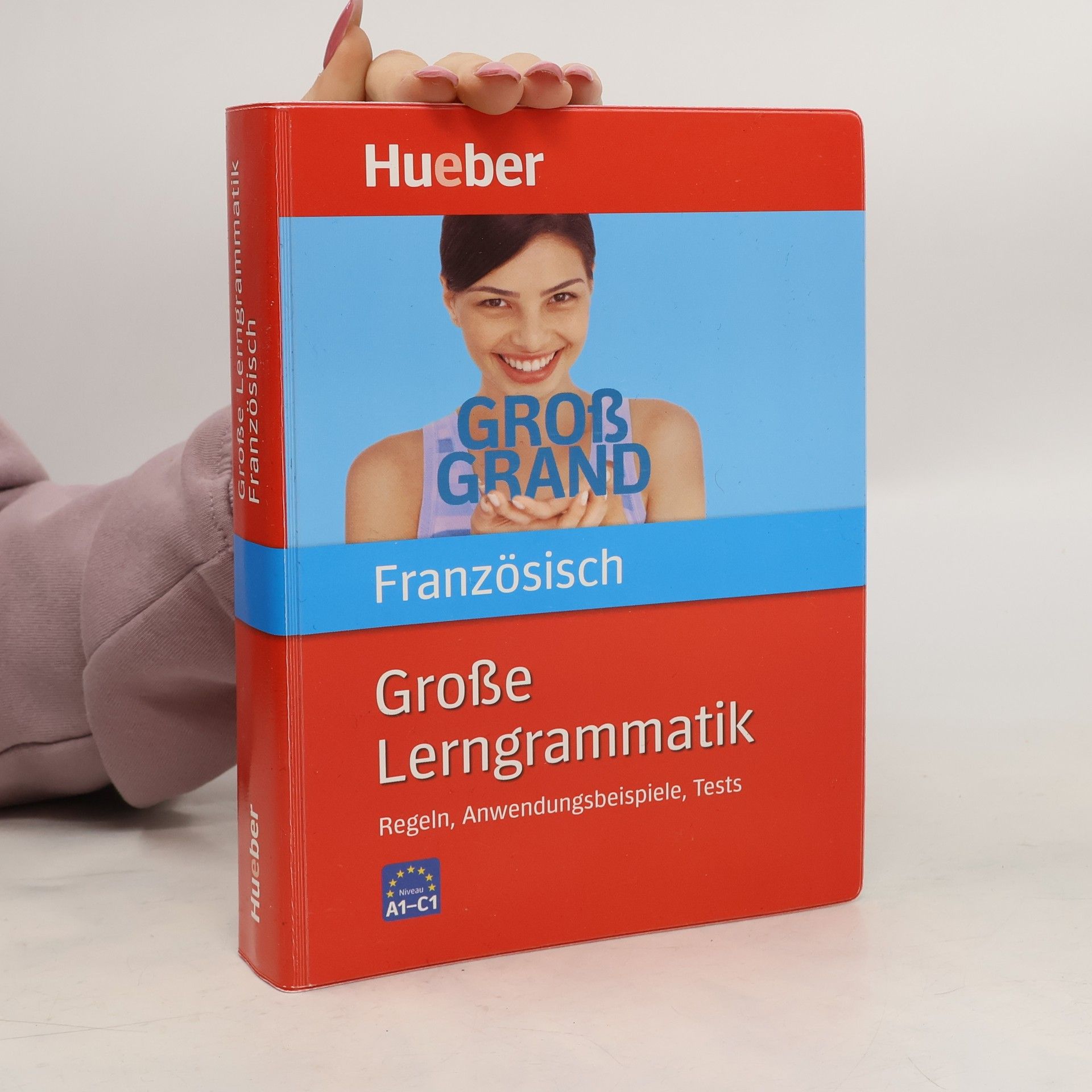 Nicole Laudut Große Lerngrammatik Französisch