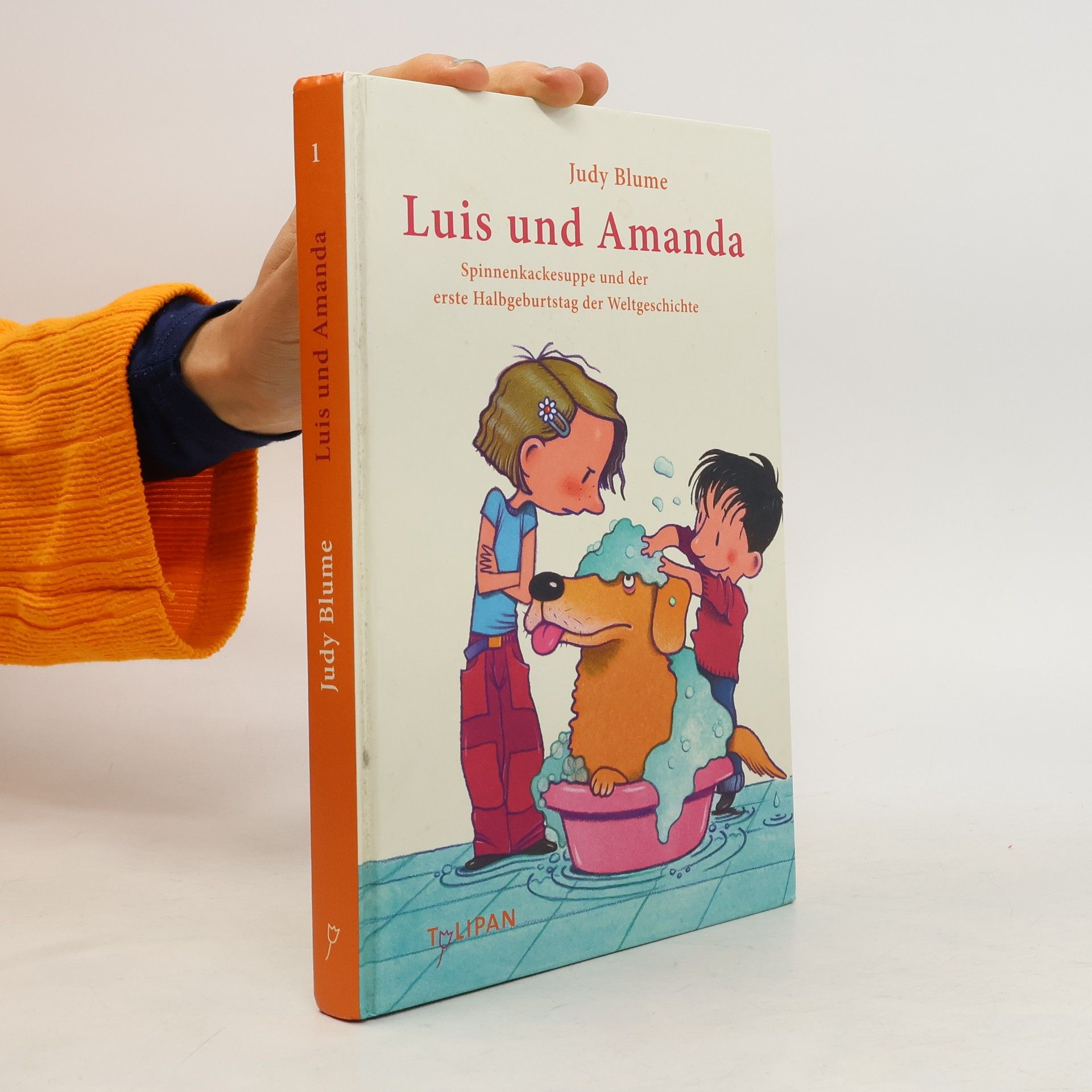 Judy Blume Luis und Amanda 1
