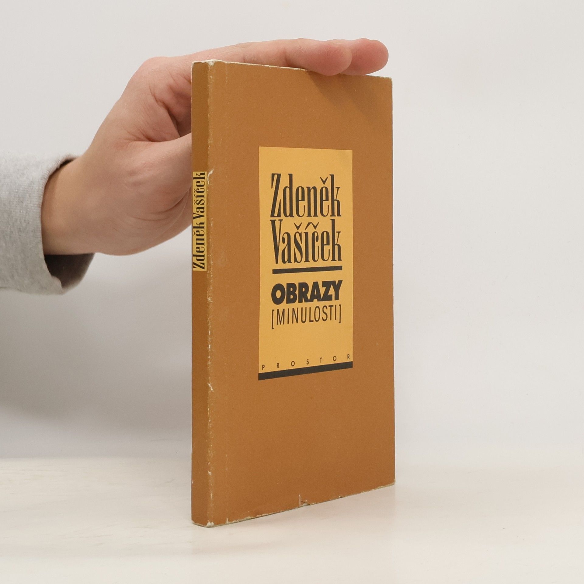 Zdeněk Vašíček Obrazy (minulosti) : o bytí, poznání a podání minulého času