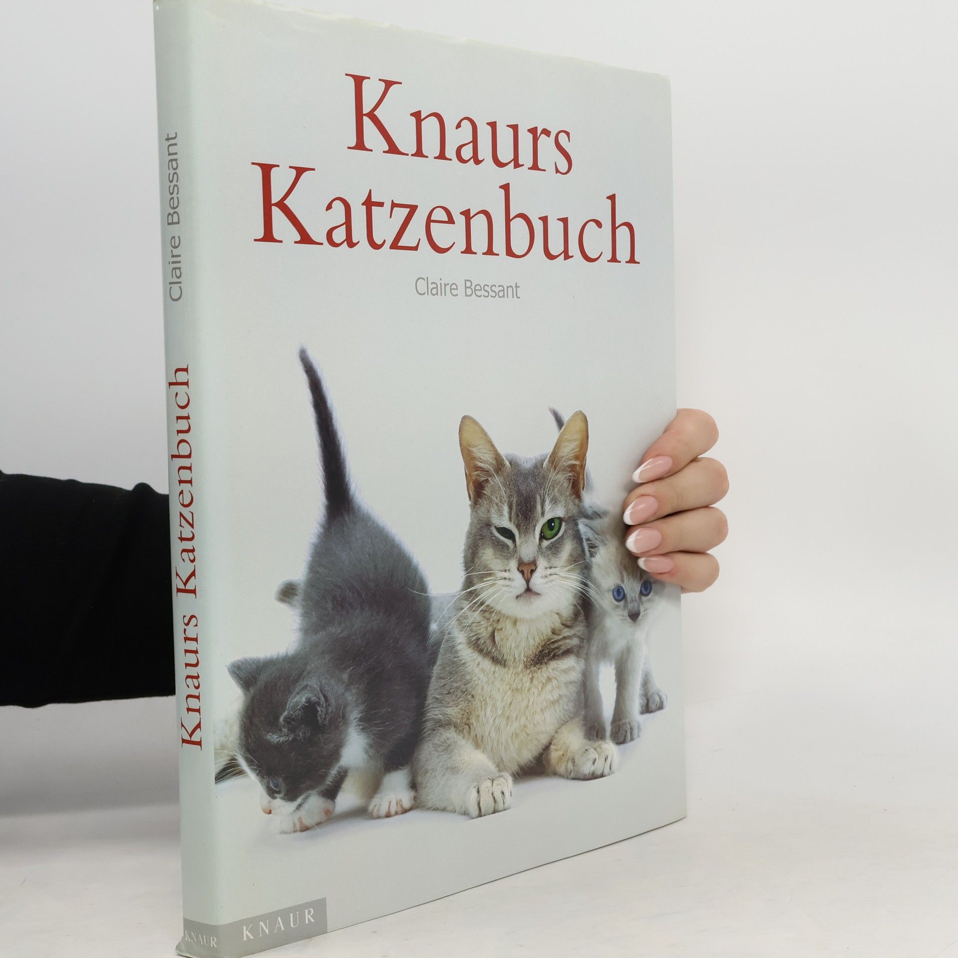 Claire Bessant Knaurs Katzenbuch