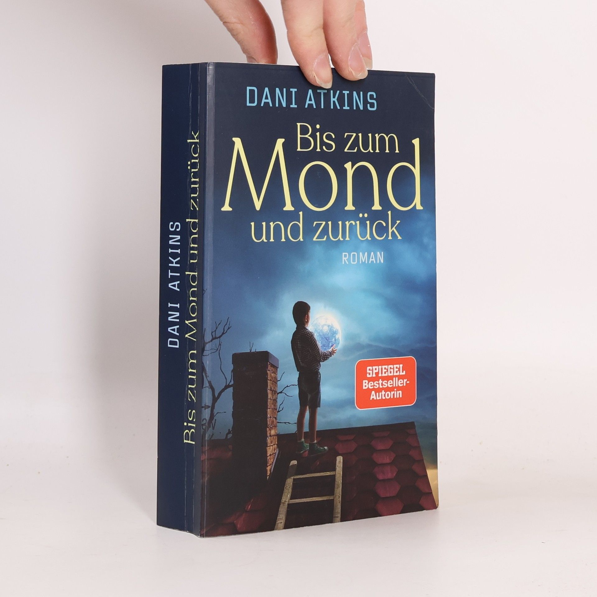 Dani Atkins Bis zum Mond und zurück