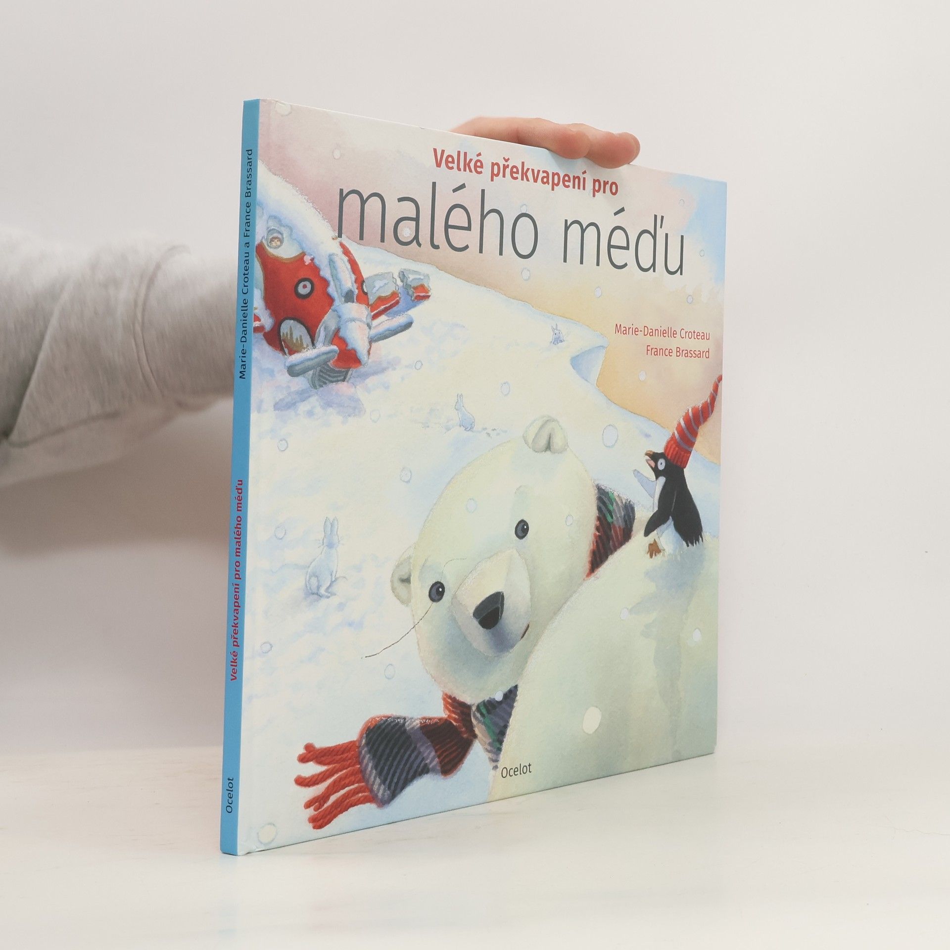 MarieDanielle Croteau Velké překvapení pro malého méďu