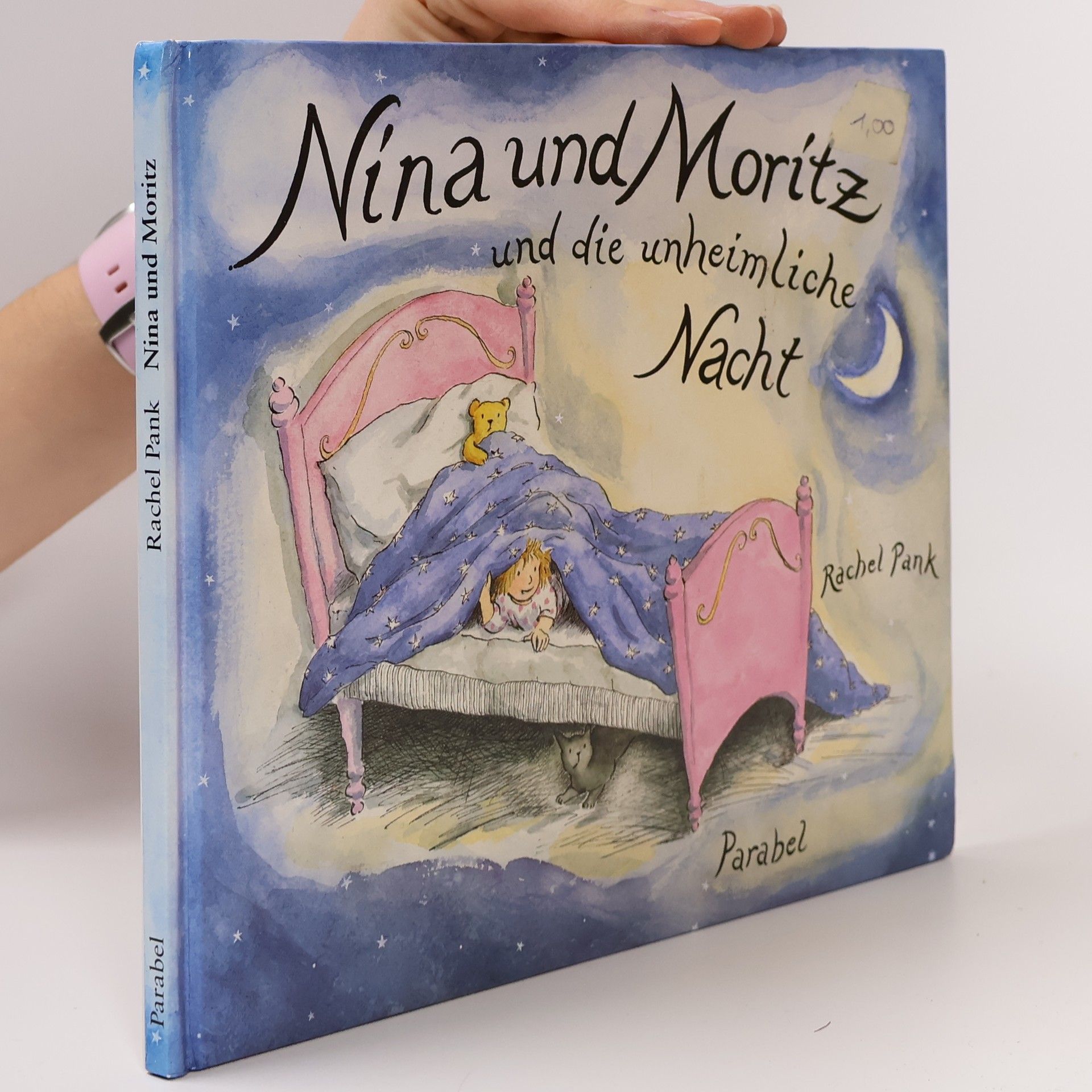 Rachel Pank Nina und Moritz und die unheimliche Nacht