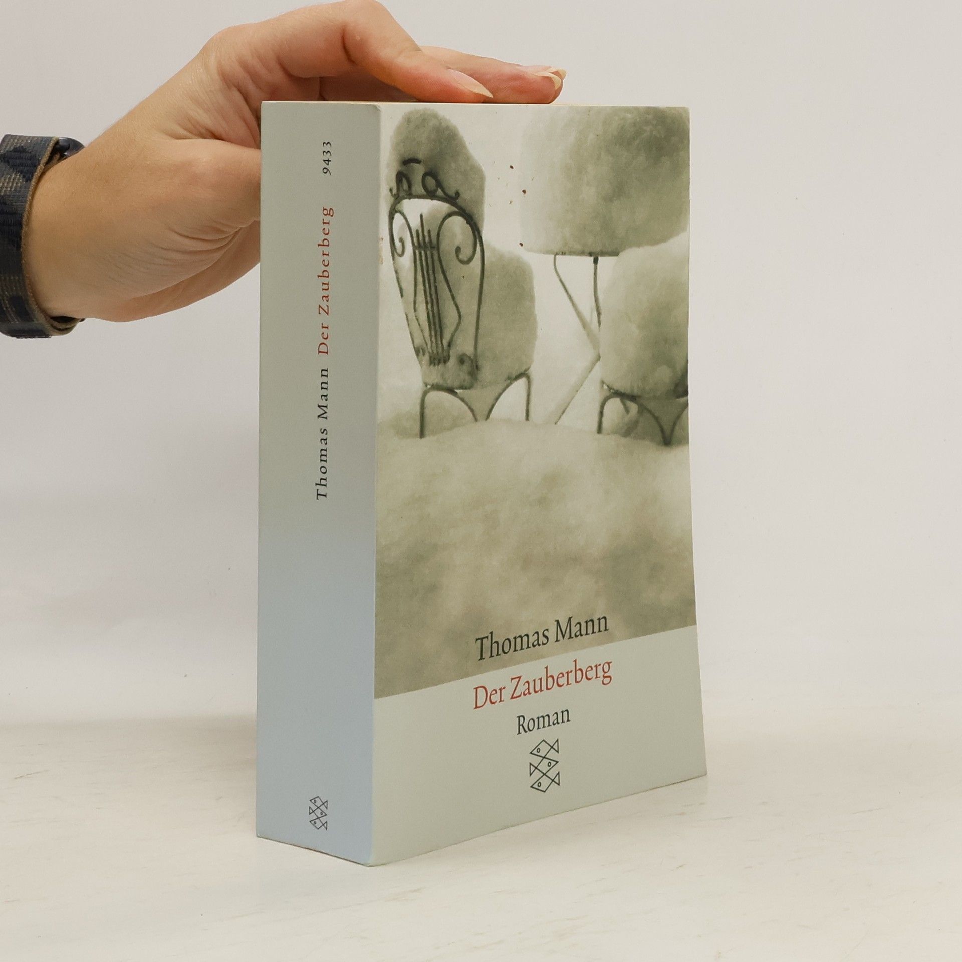 Thomas Mann Der Zauberberg