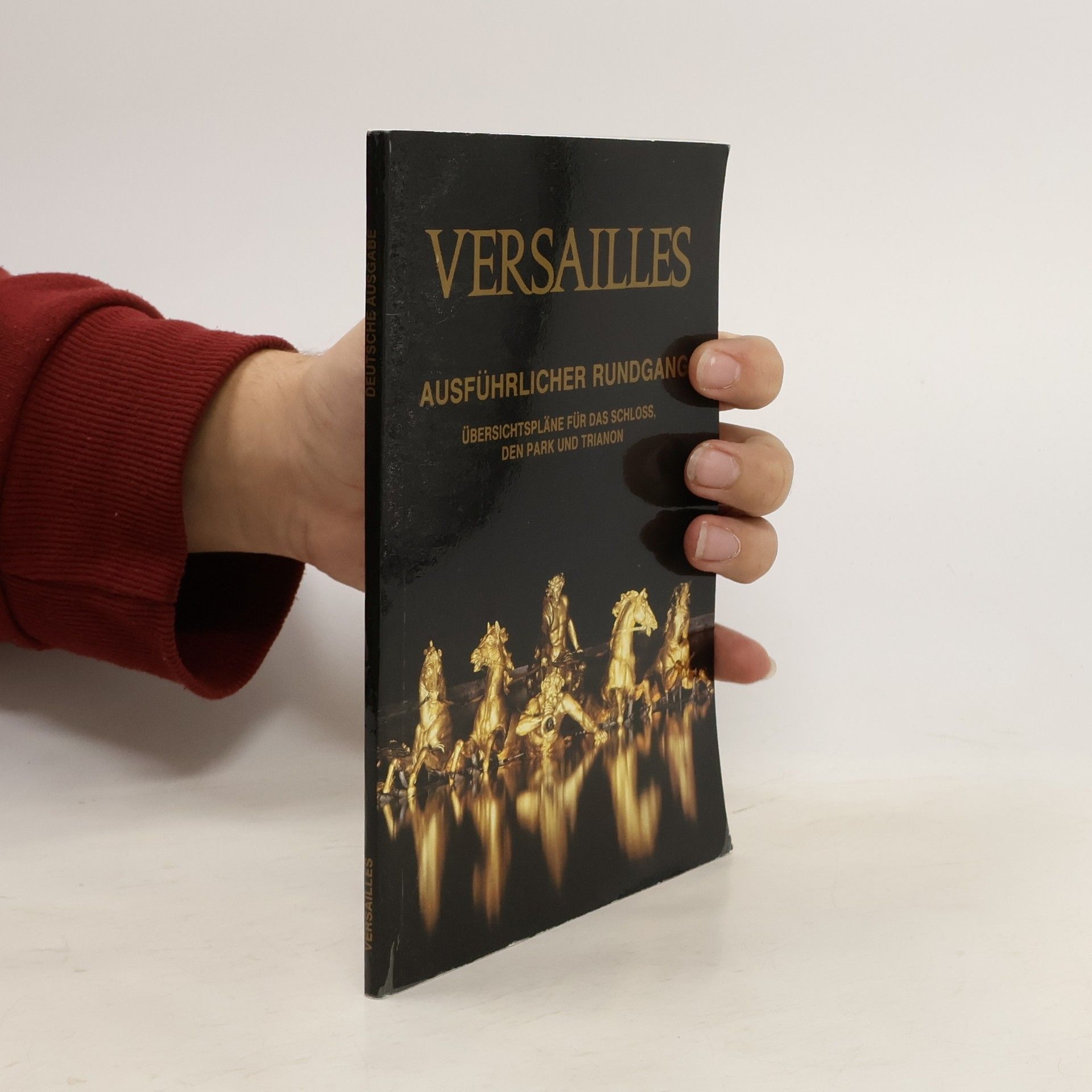 Simone Hoog Versailles