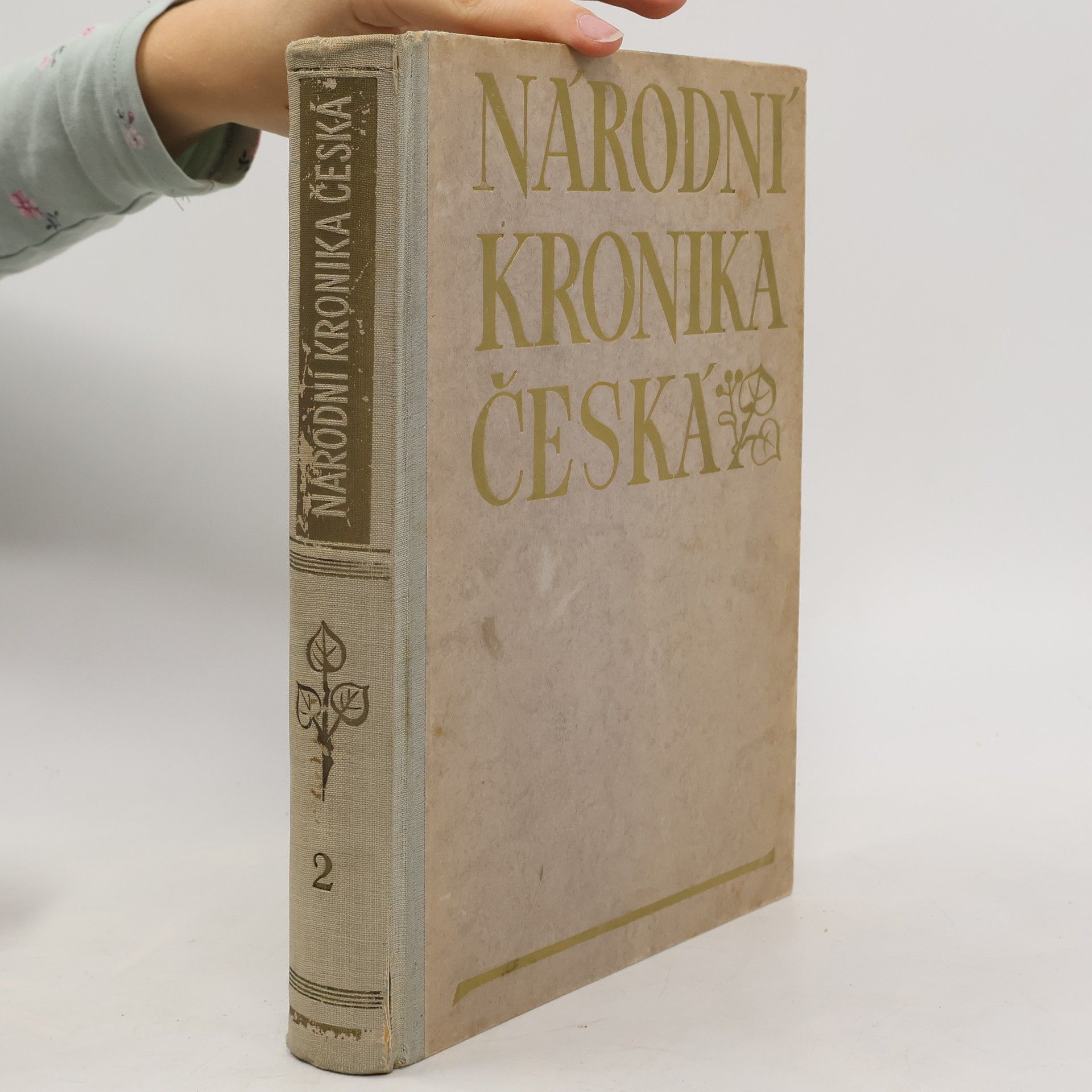 Národní kronika česká II.