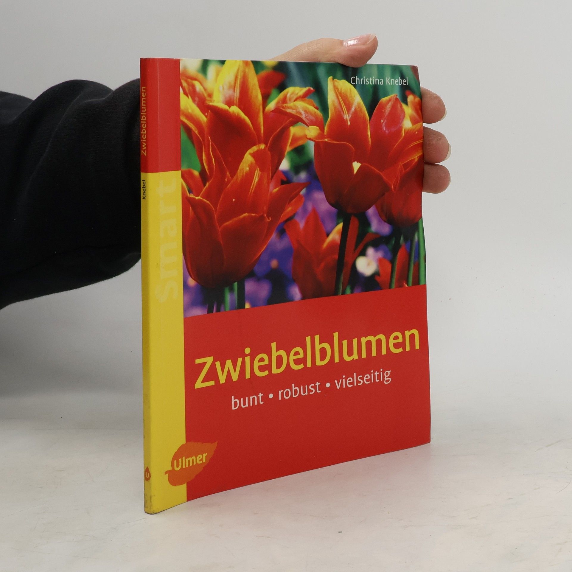 Christina Knebel Zwiebelblumen