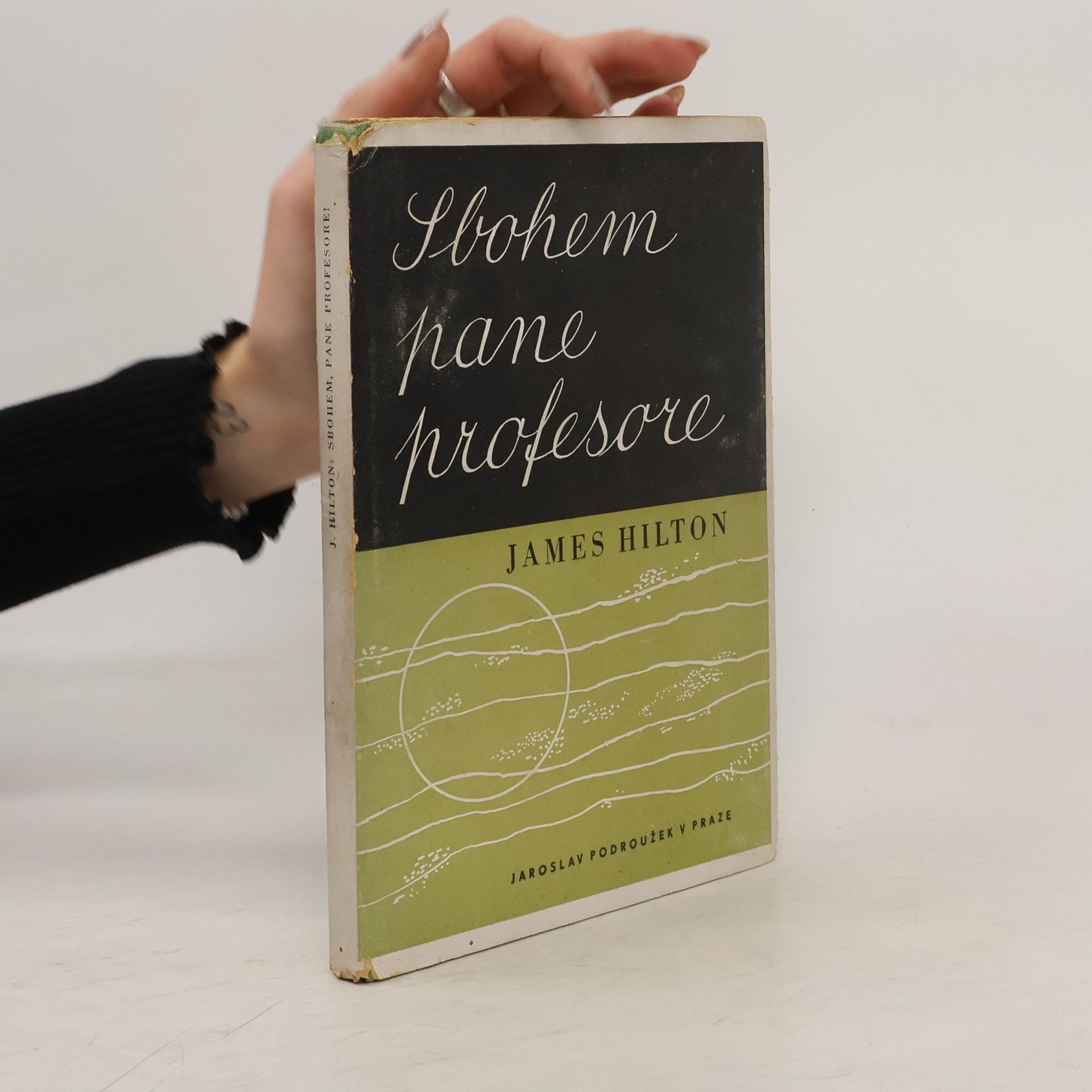 James Hilton Sbohem, pane profesore