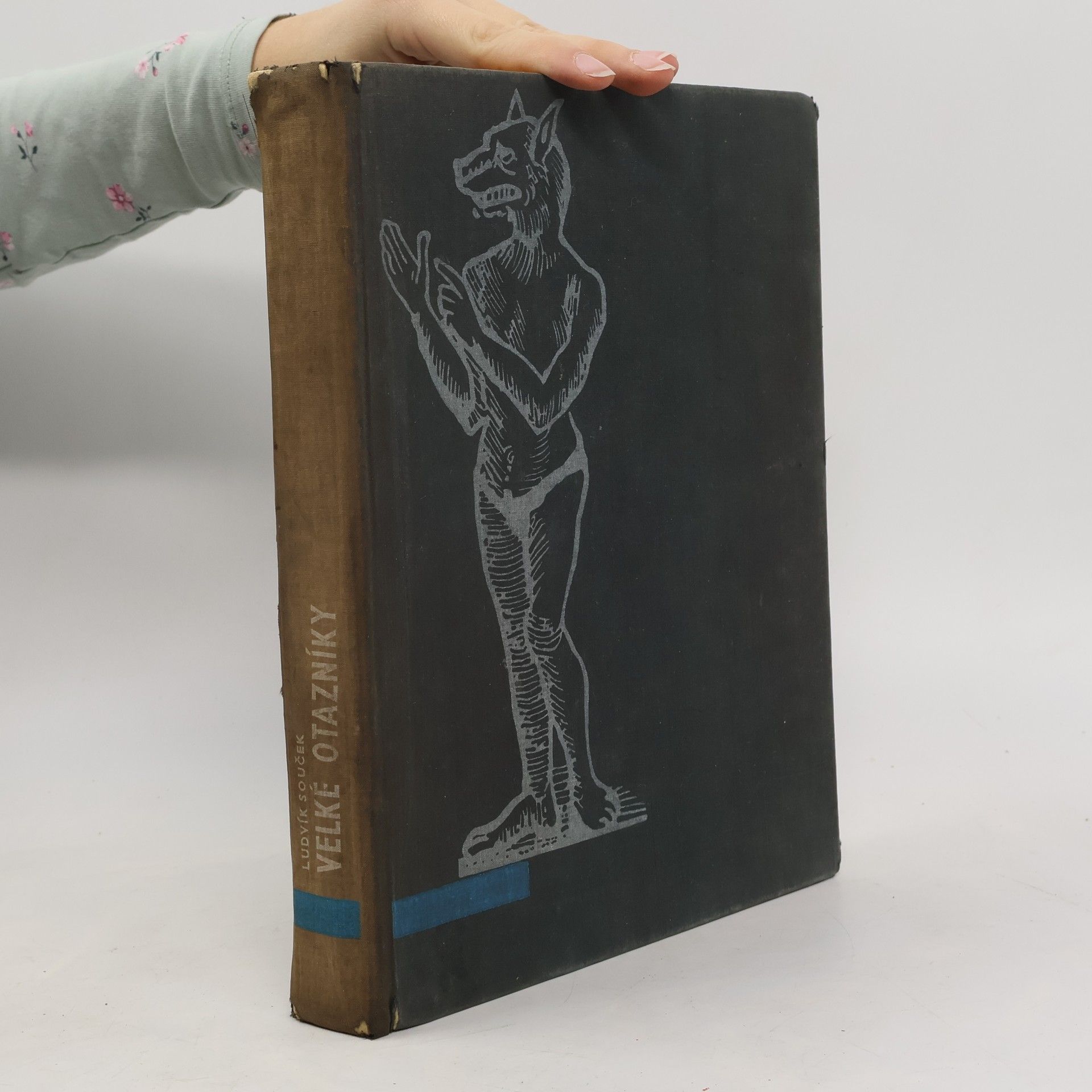 Ludvík Souček Velké otazníky