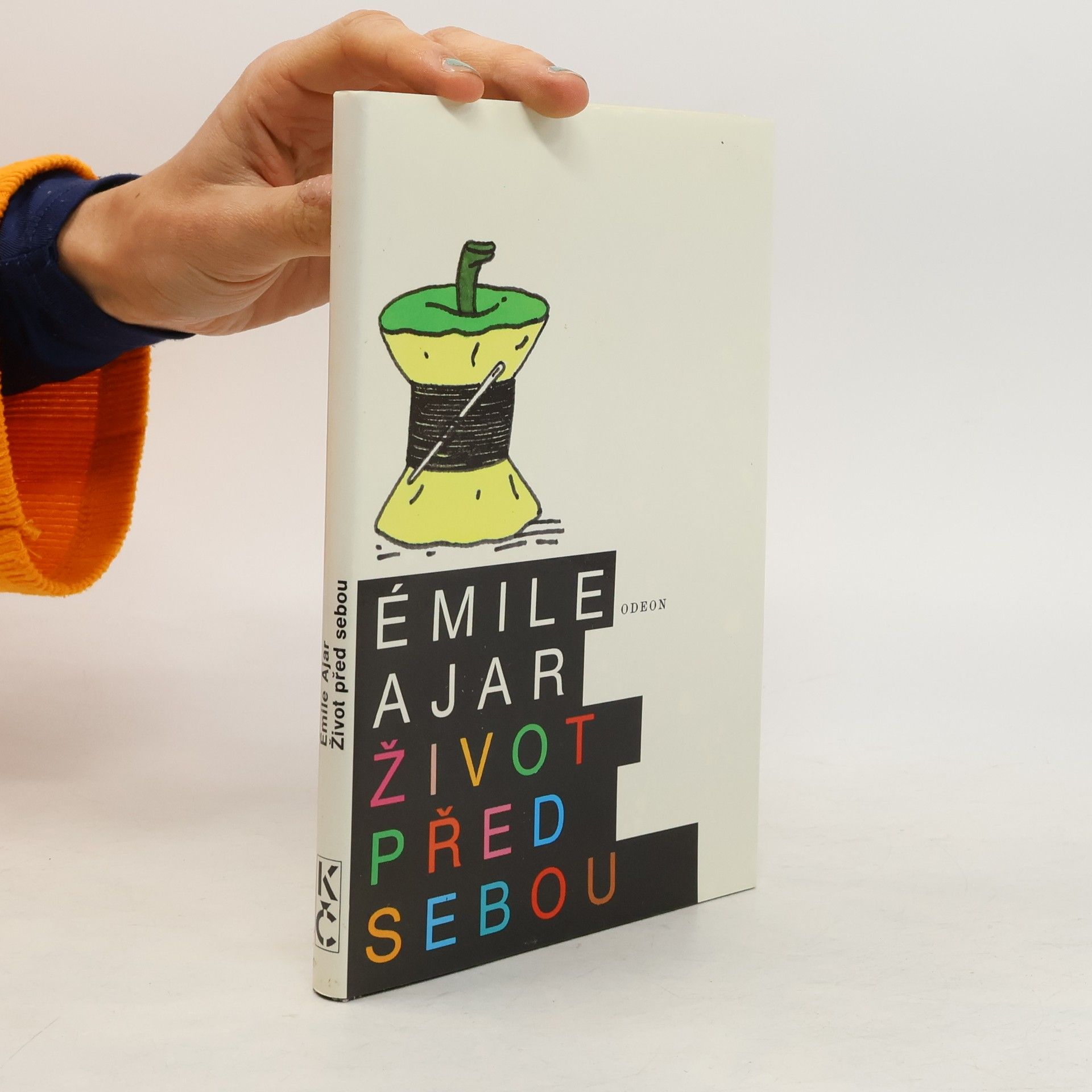 Romain Gary Život před sebou