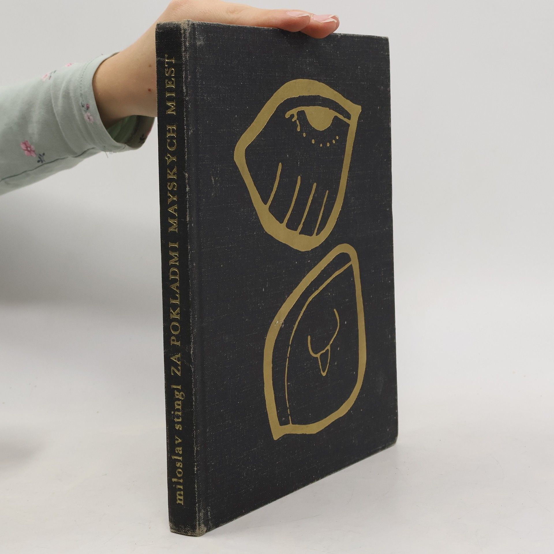 Miloslav Stingl Za pokladmi mayských miest