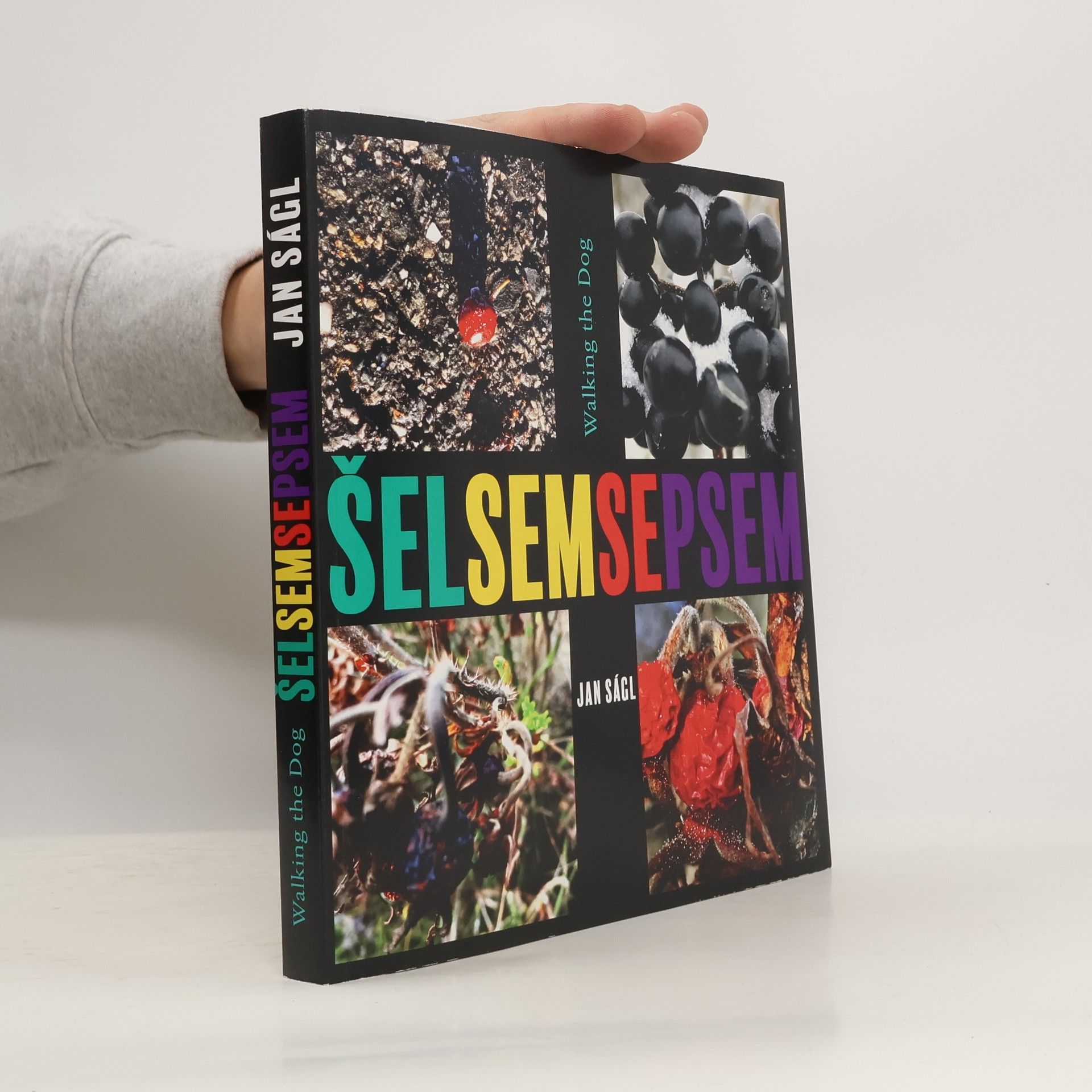 Šel sem se psem = Walking the Dog