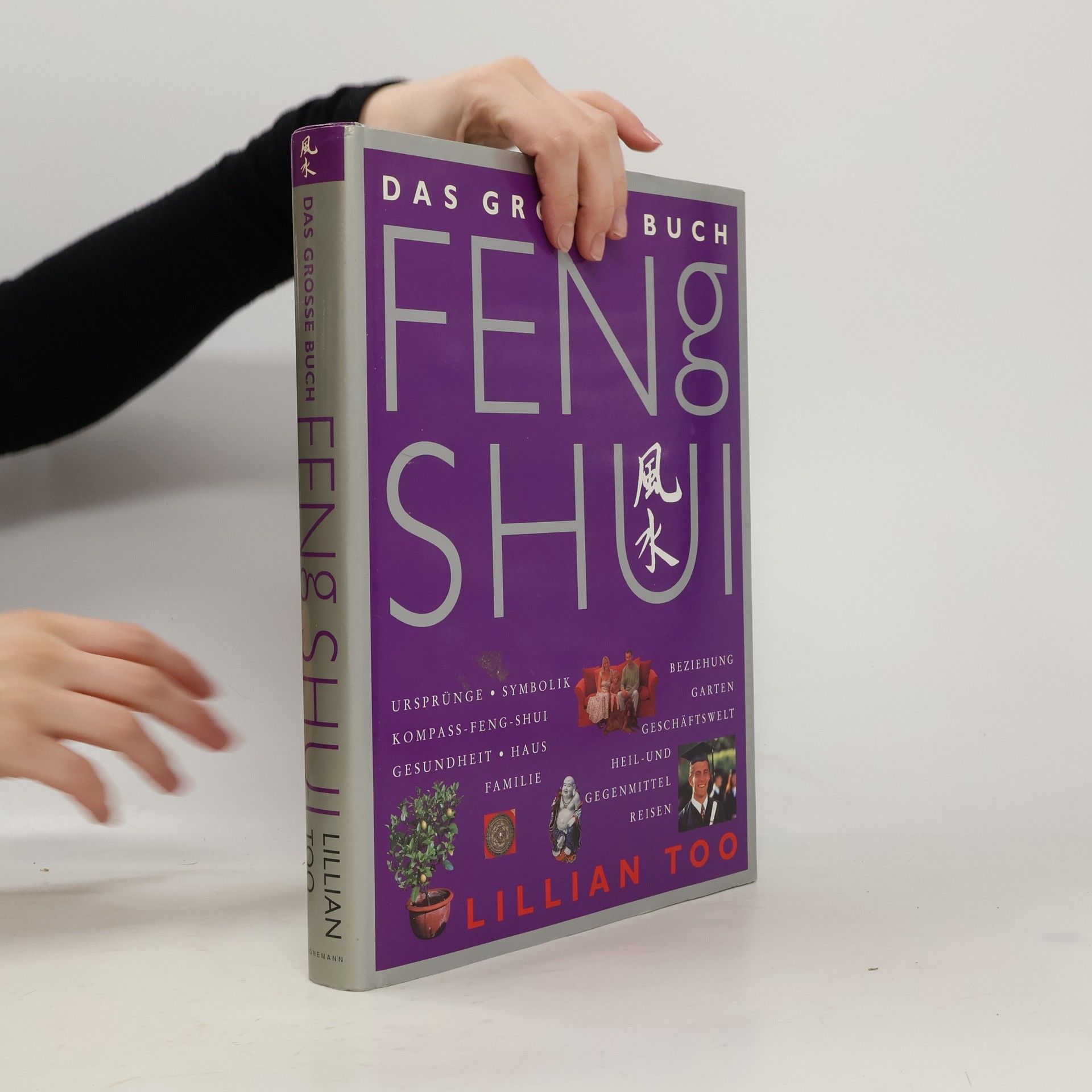 Lillian Too Das grosse Buch Feng Shui