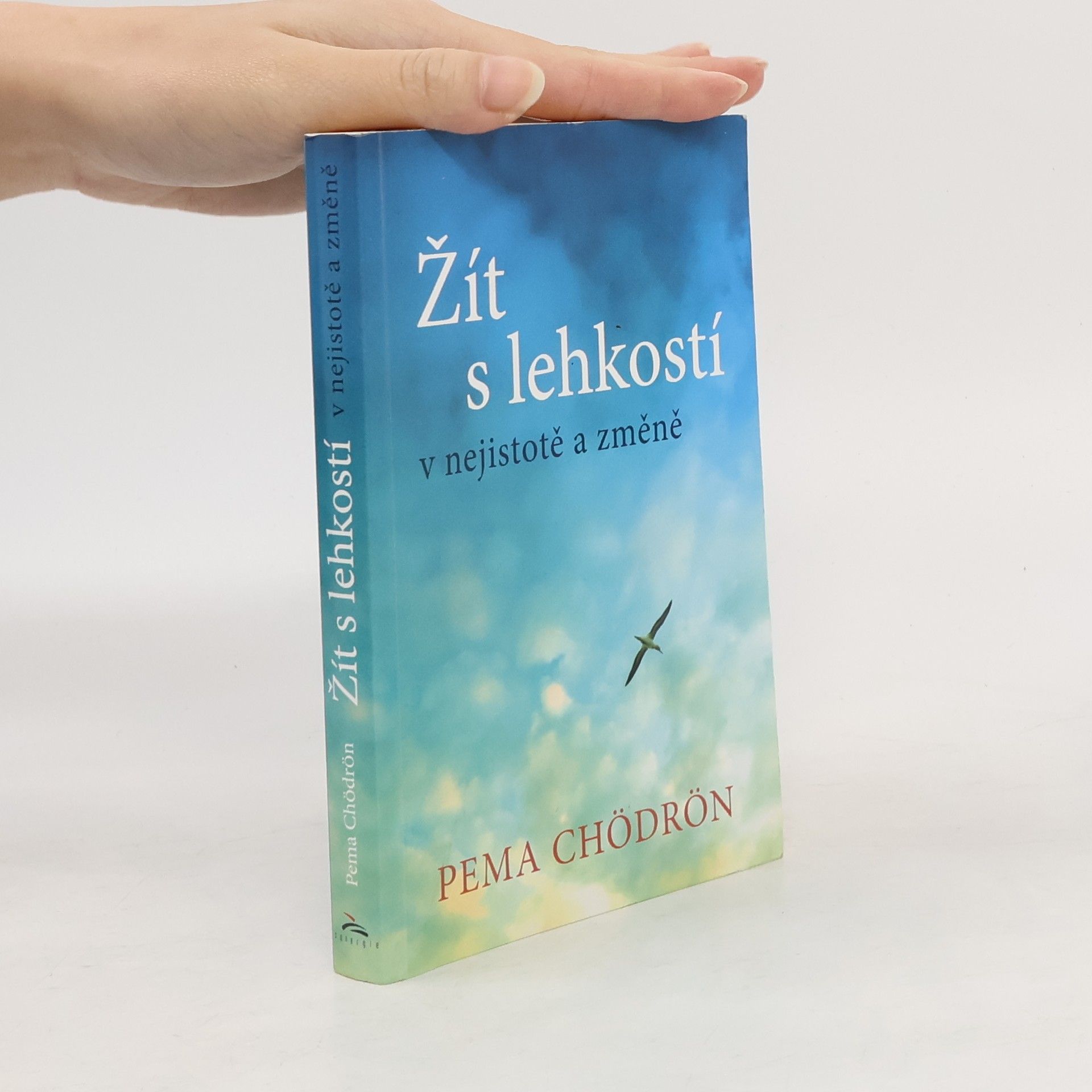 Pema Chödrön Žít s lehkostí