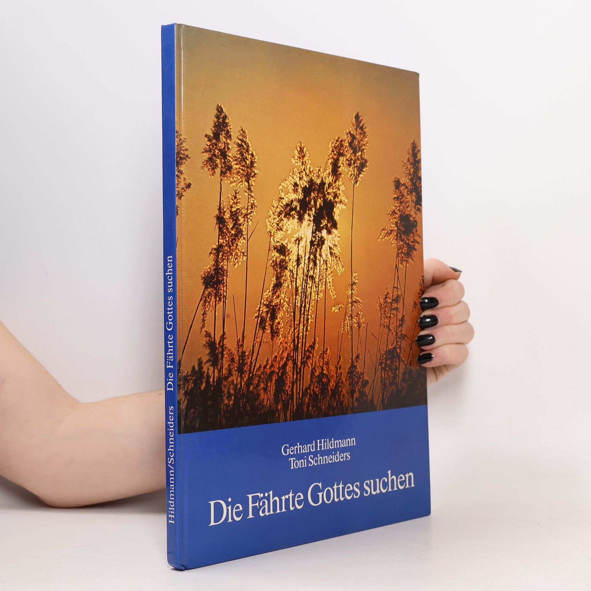 Die Fährte Gottes suchen