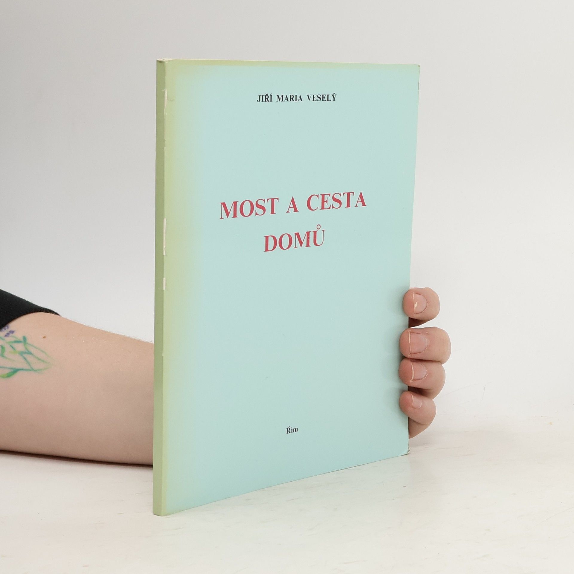 Most a cesta domů