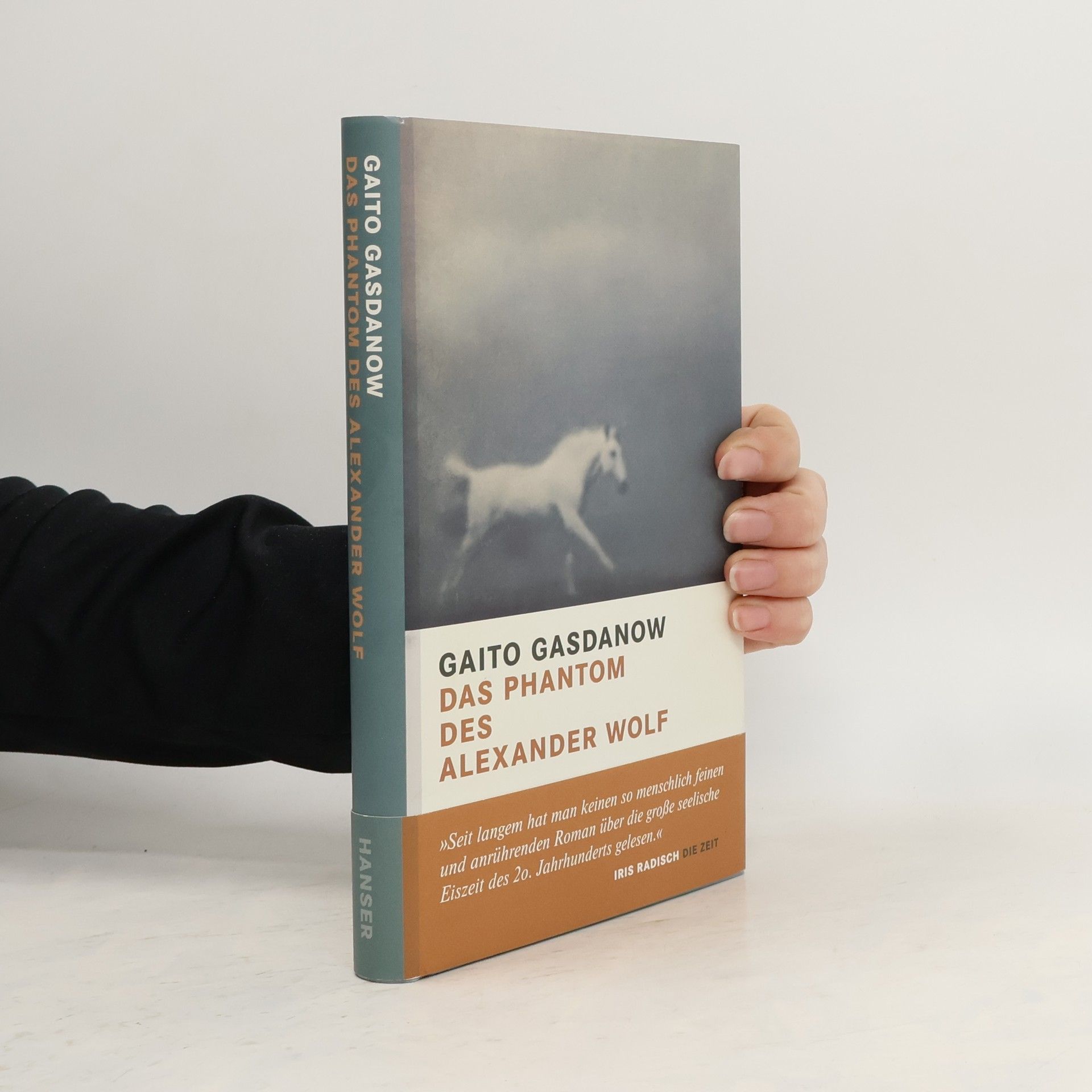 Gaito Gazdanov Das Phantom des Alexander Wolf