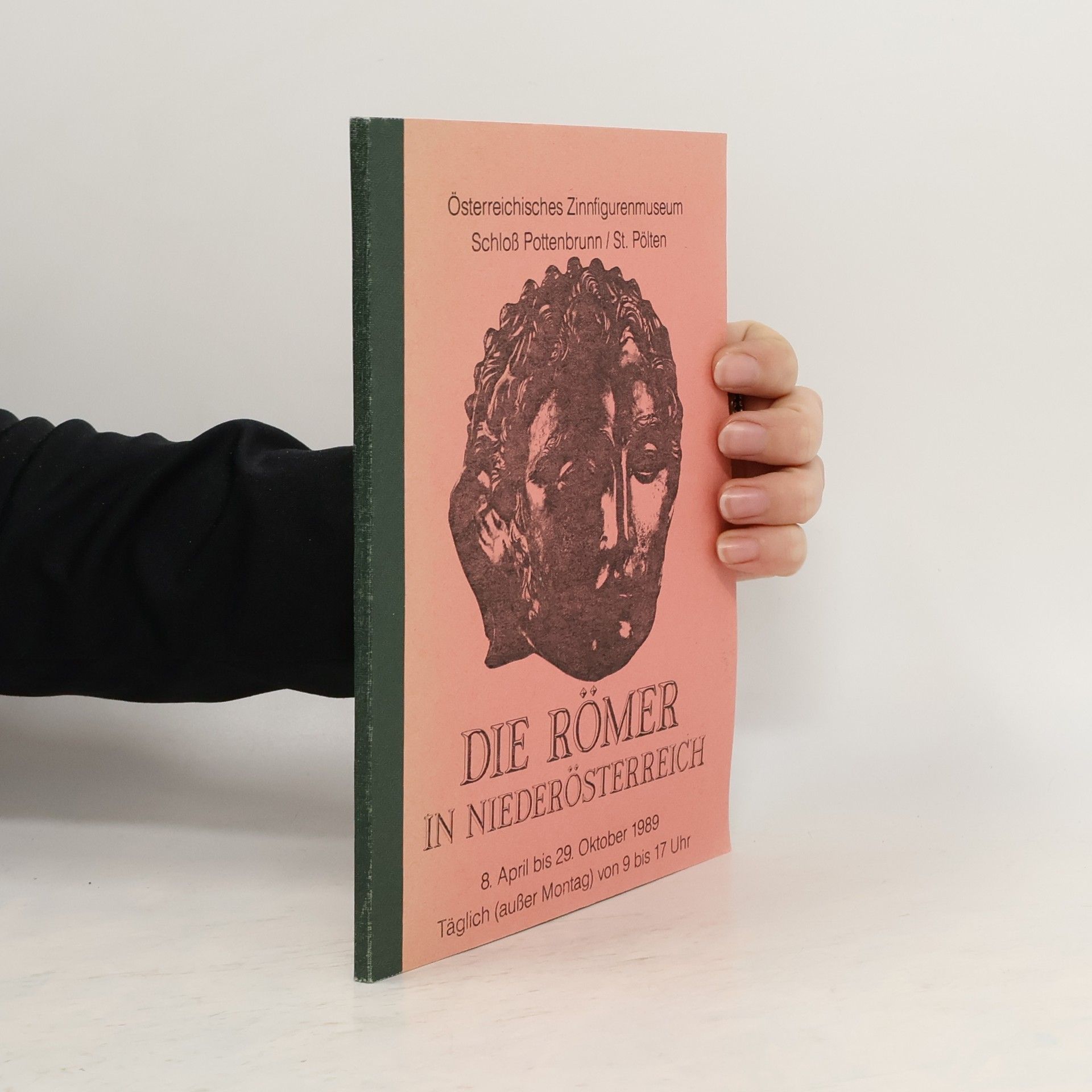 AA.VV. Die Römer in Niederösterreich