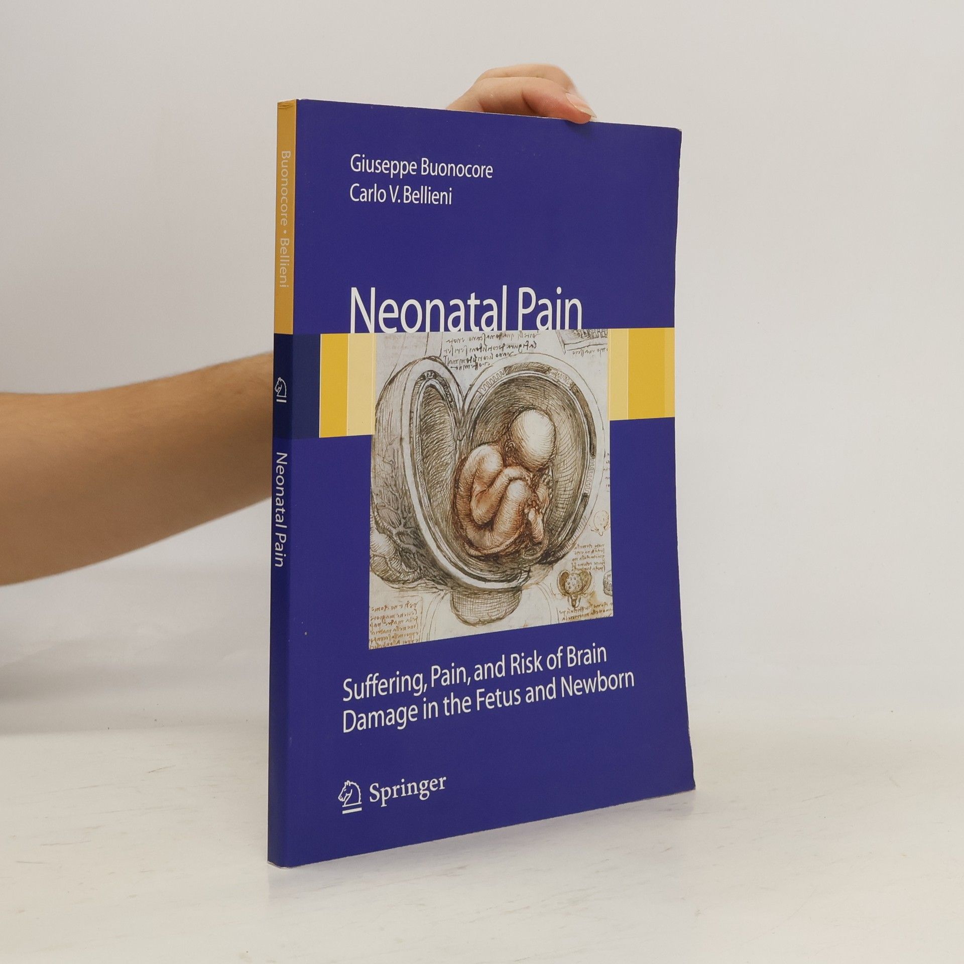 Giuseppe Buonocore Neonatal Pain