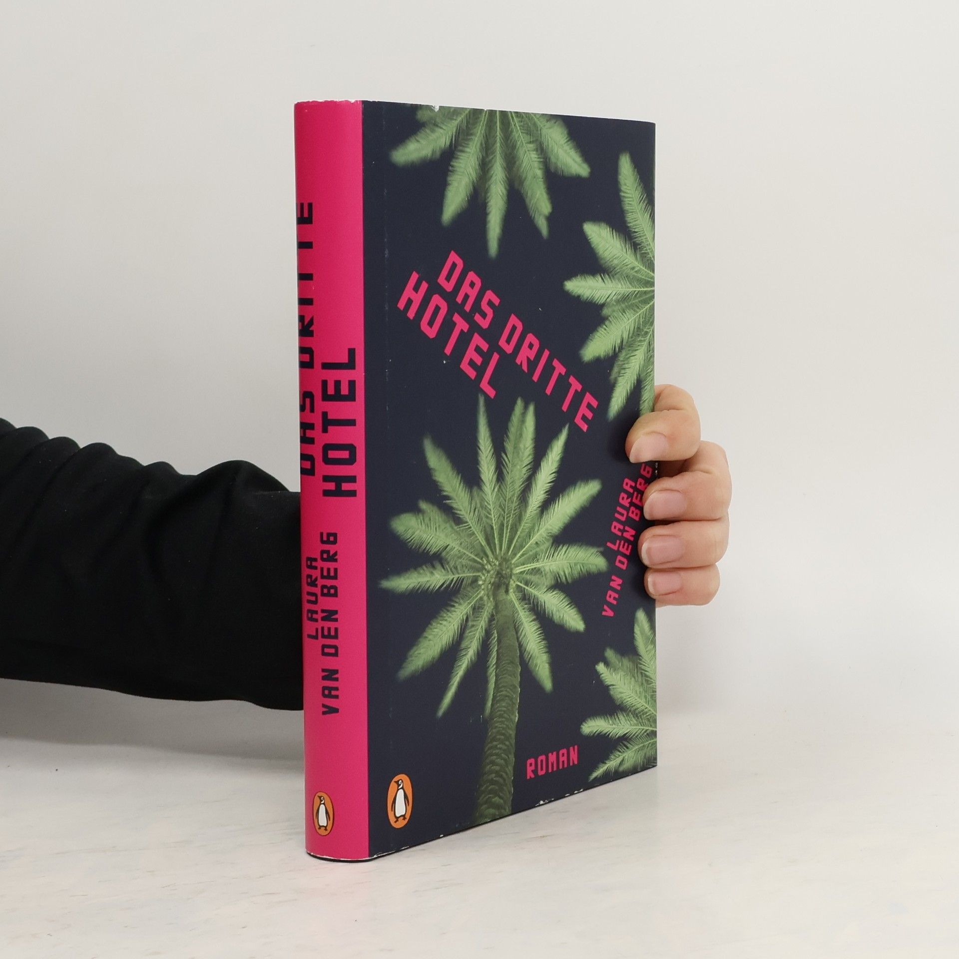 Laura van den Berg Das dritte Hotel