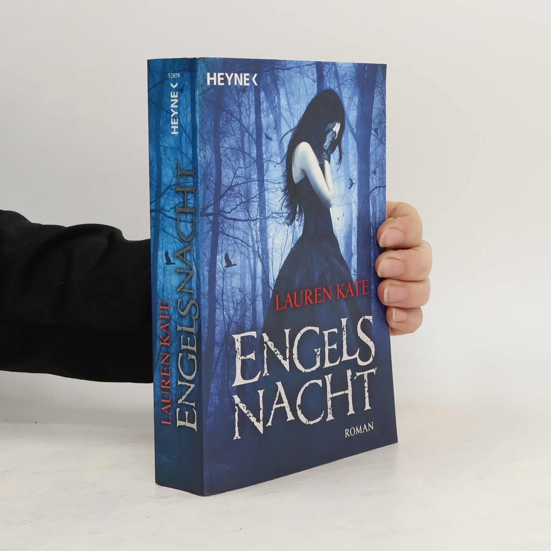 Lauren Kate Engels Nacht