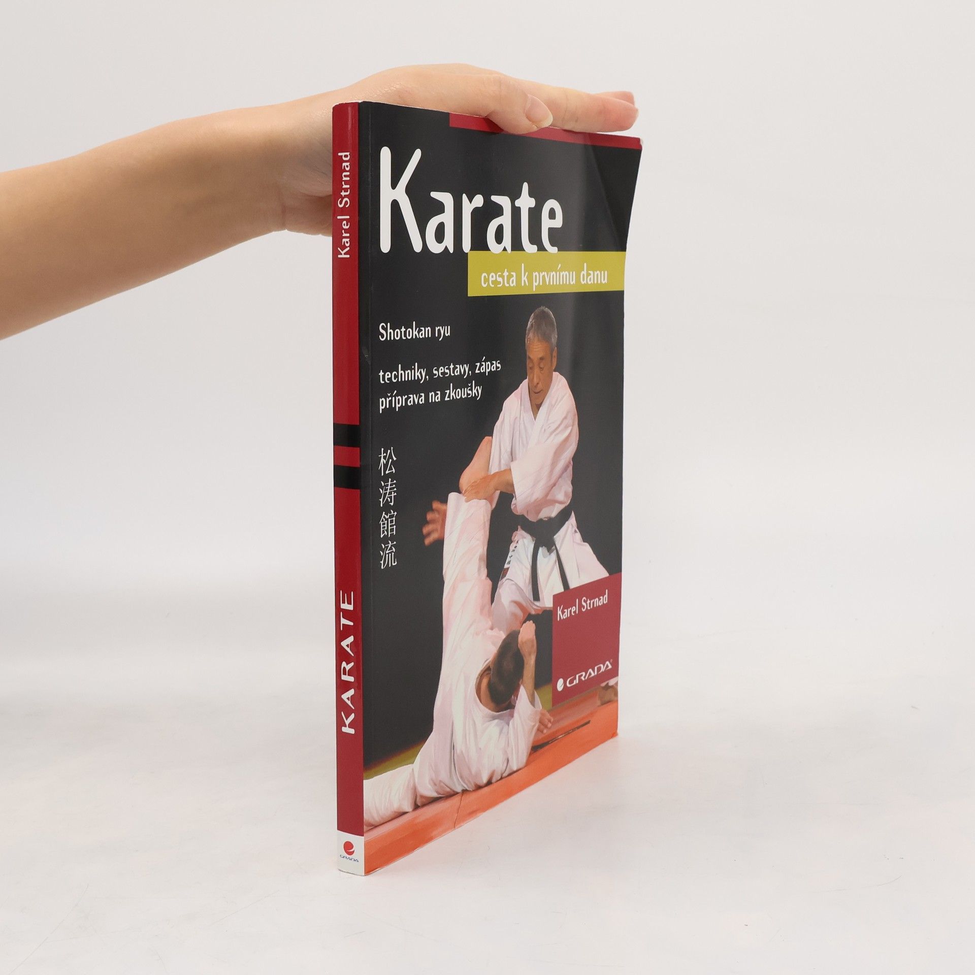 Karel Strnad Karate. Cesta k prvnímu danu