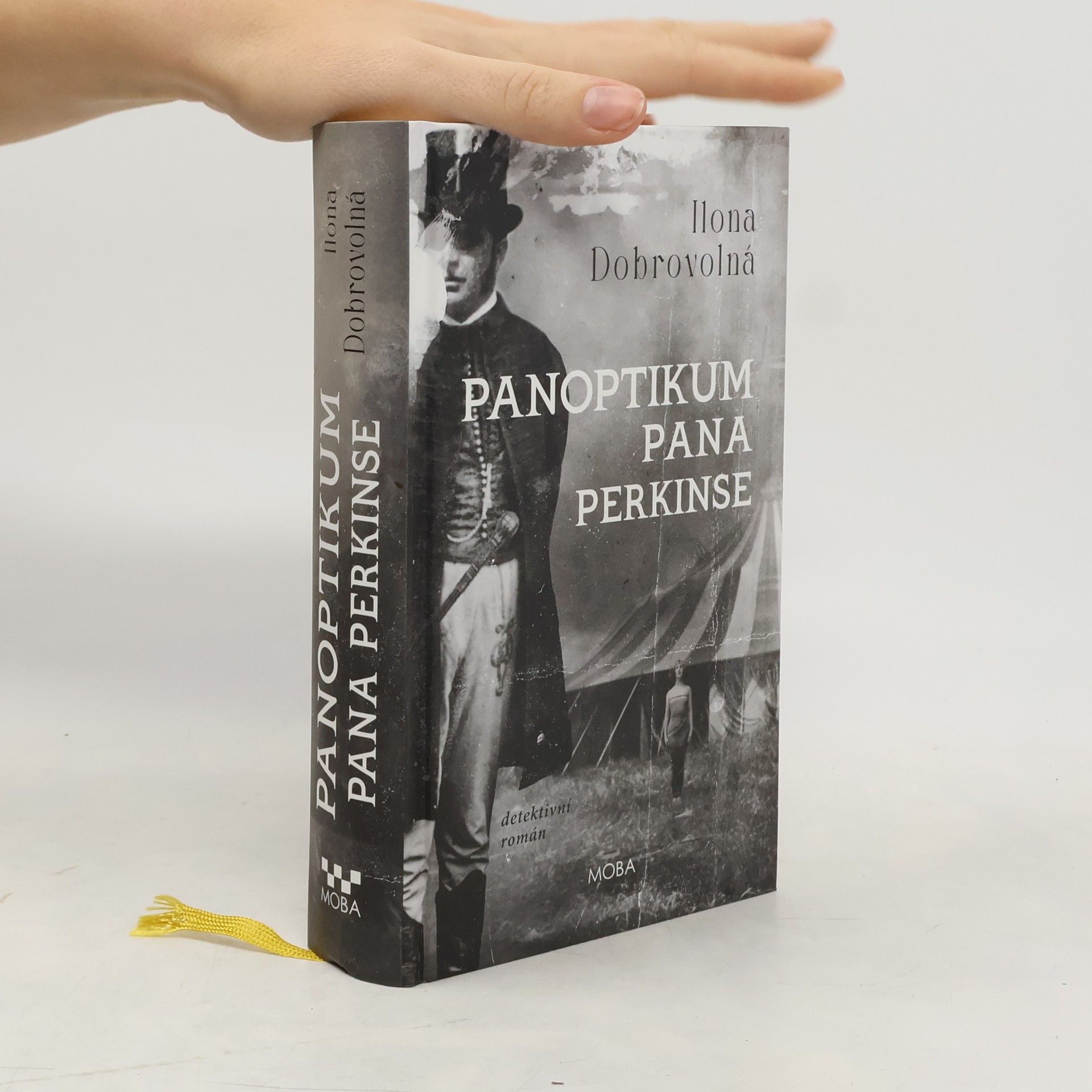 Ilona Dobrovolná Panoptikum pana Perkinse