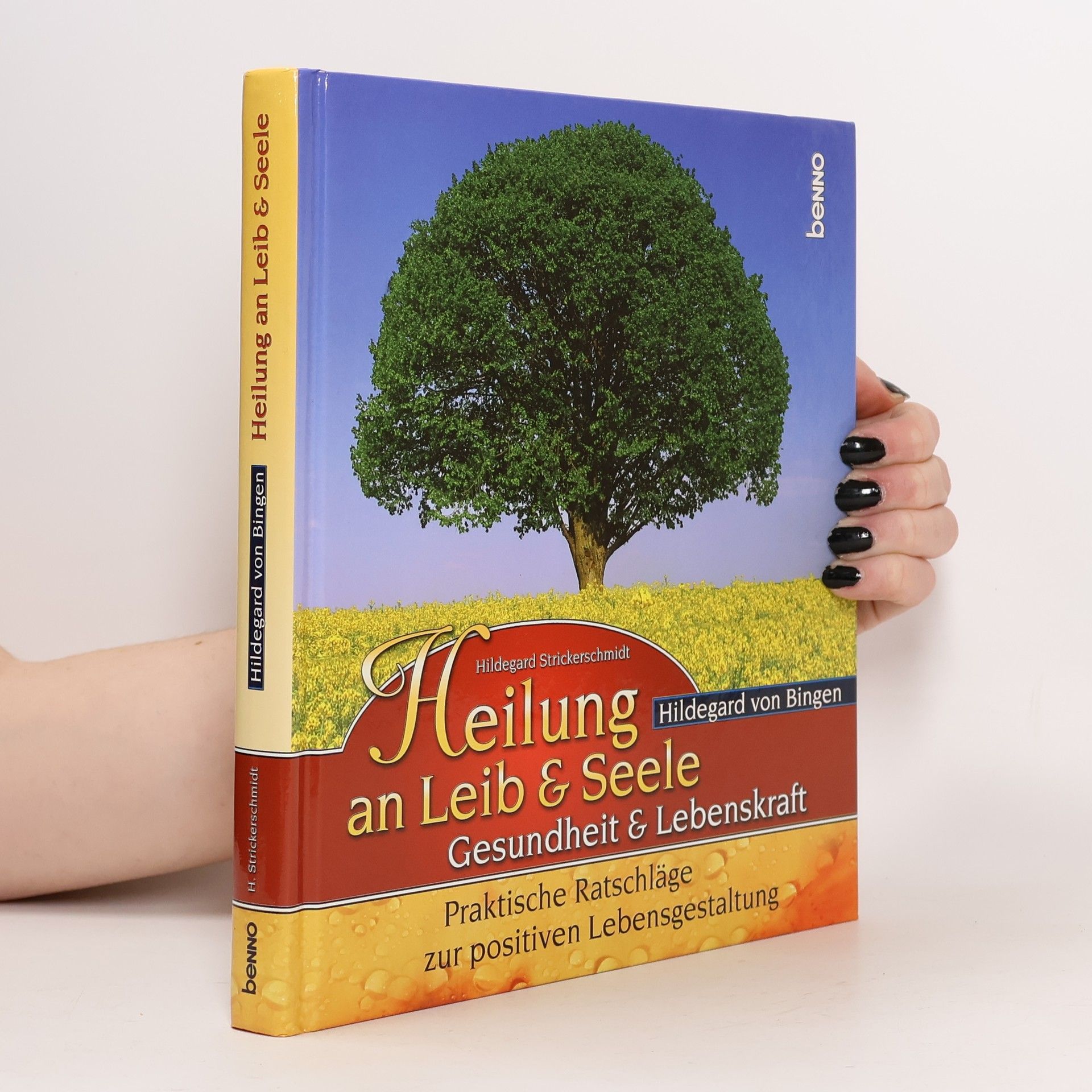 Hildegard Strickerschmidt Hildegard von Bingen - Heilung an Leib & Seele