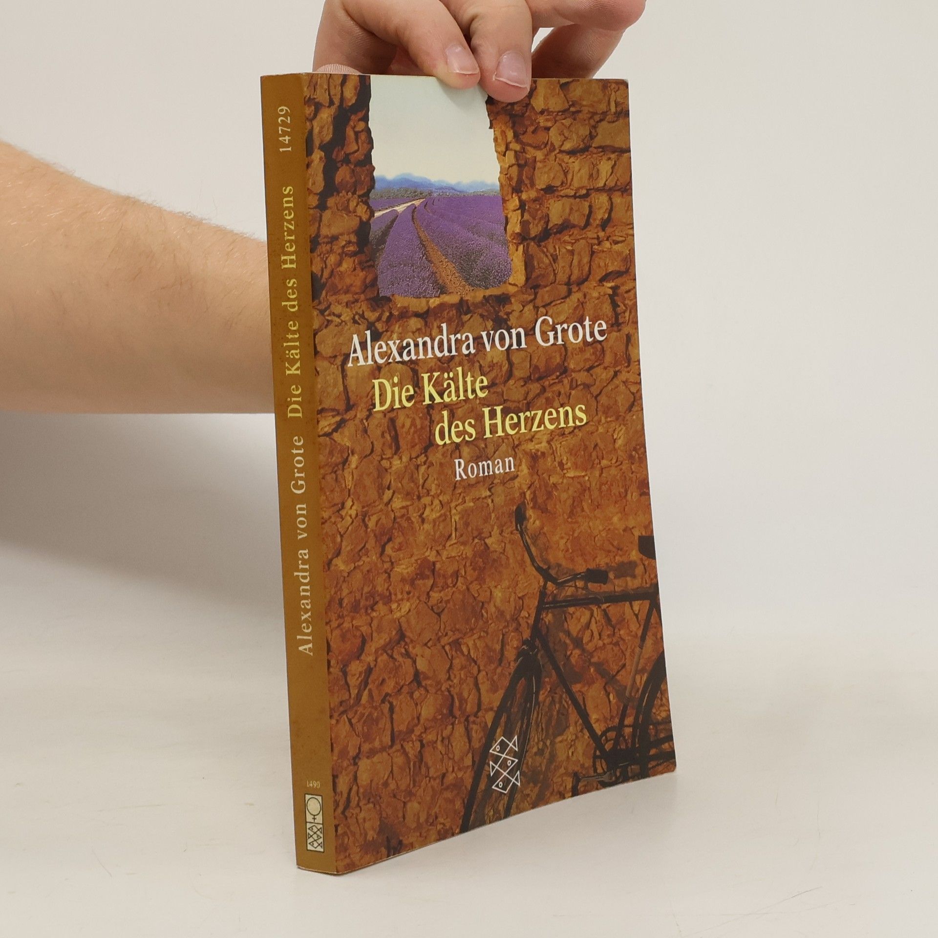 Alexandra von Grote Die Kälte des Herzens