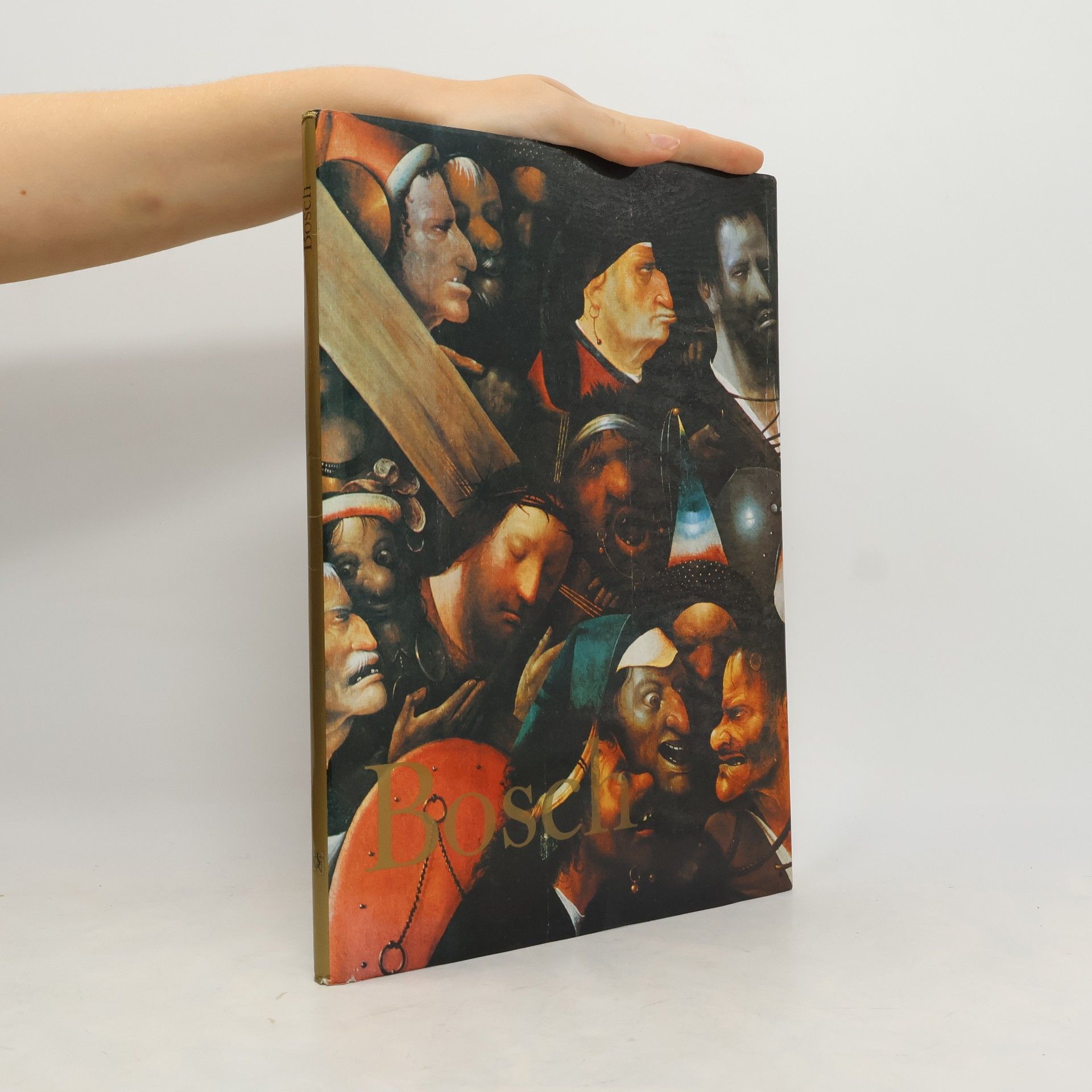 Dino Buzzati Bosch : [souborné malířské dílo]