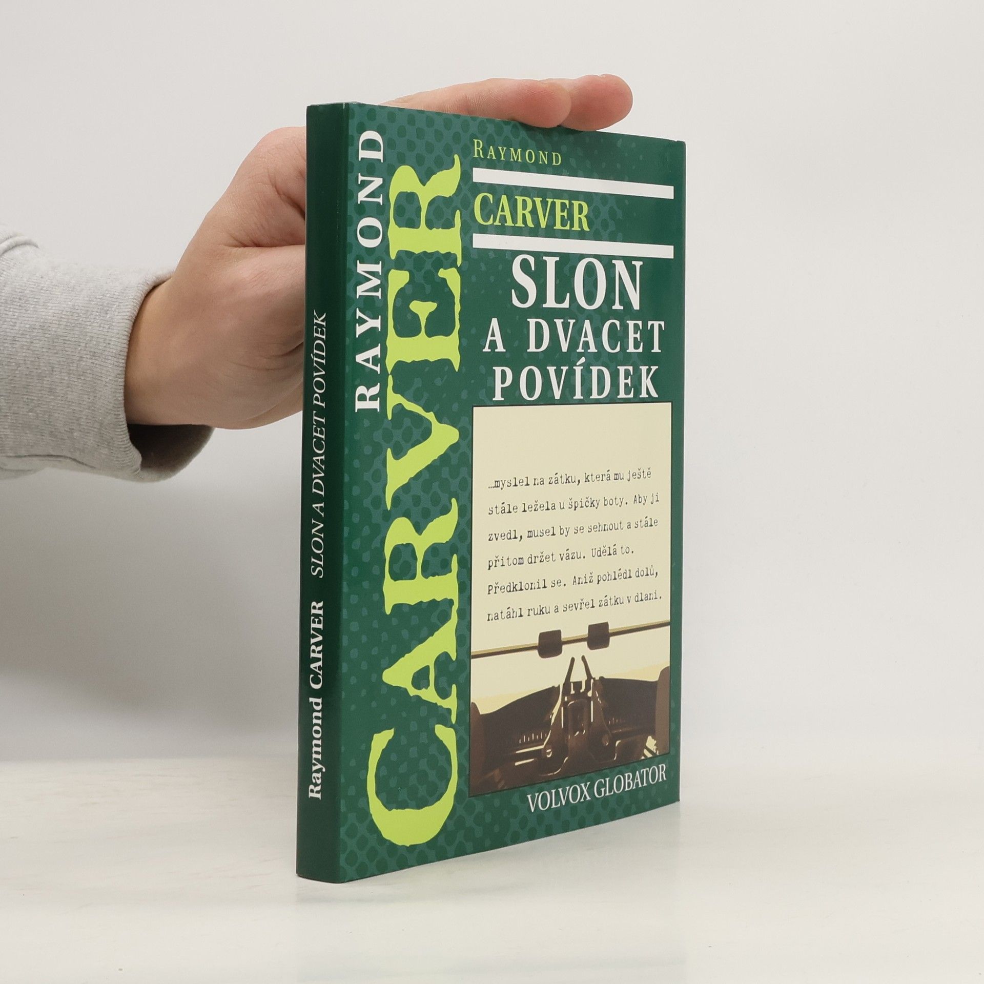 Raymond Carver Slon a dvacet povídek