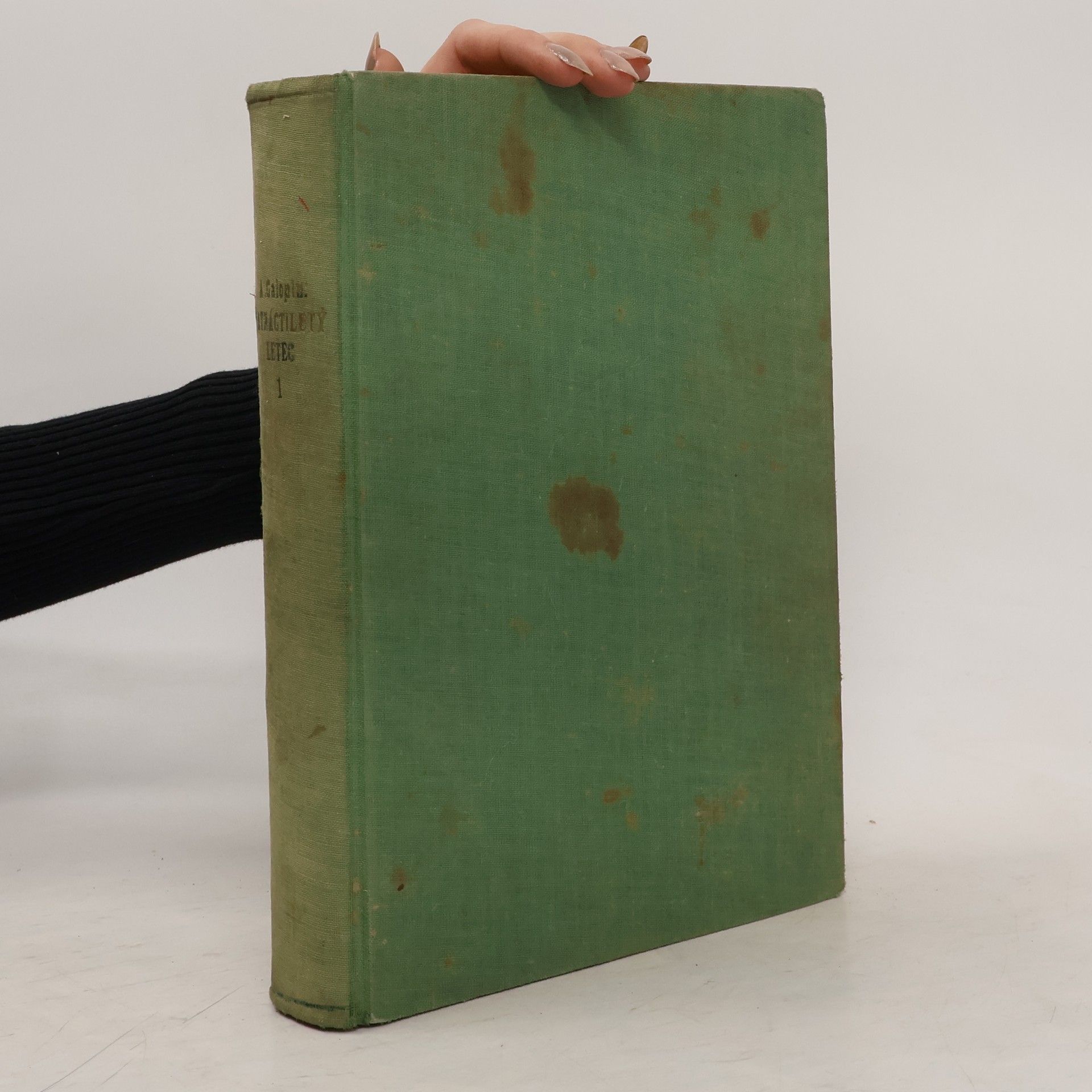 Patnáctiletý letec I.