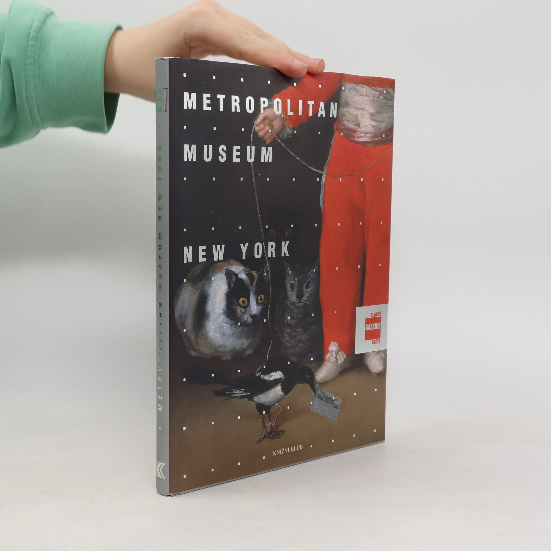 Lucia Impelluso Slavné galerie světa. Metropolitan Museum - New York