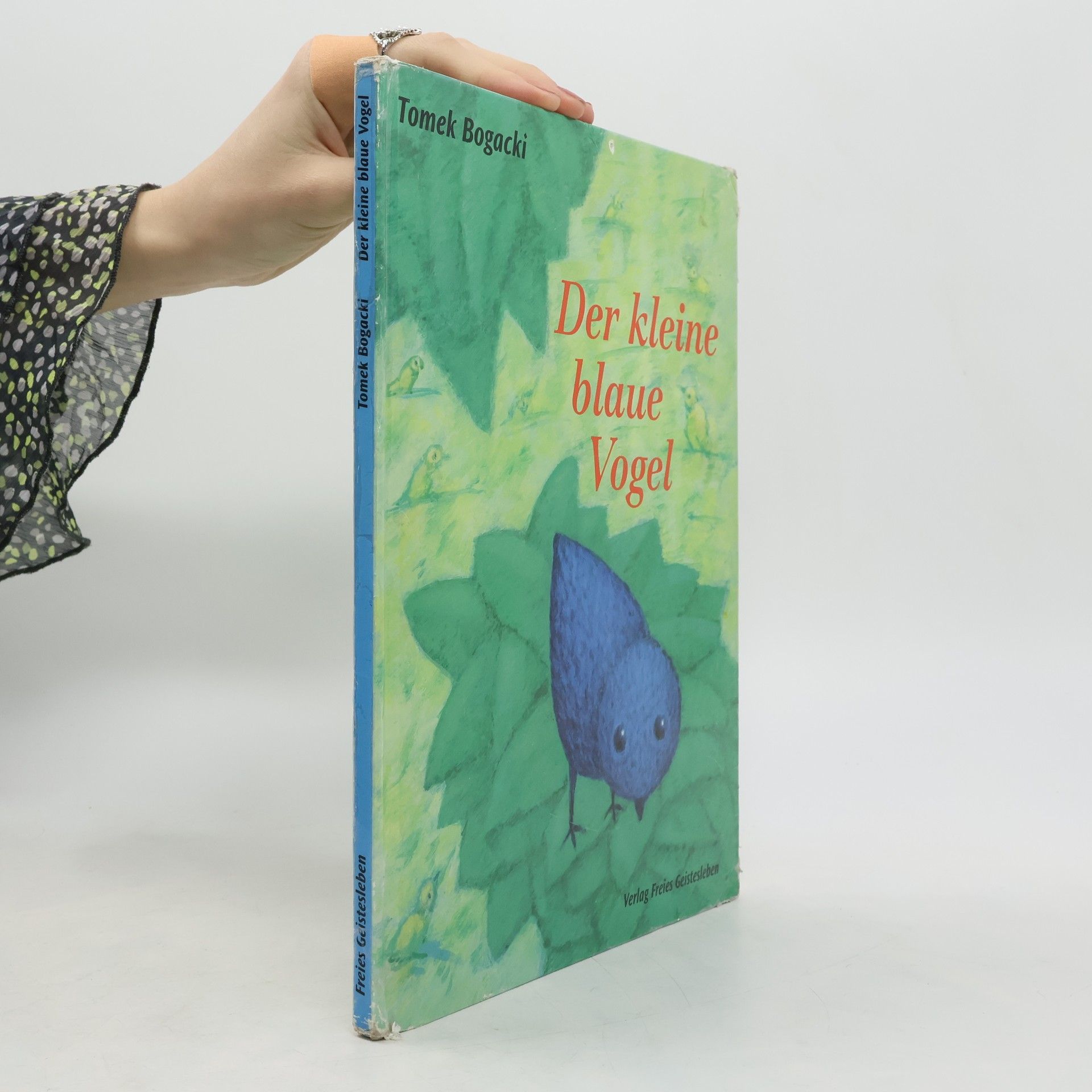 Tomek Bogacki Der kleine blaue Vogel