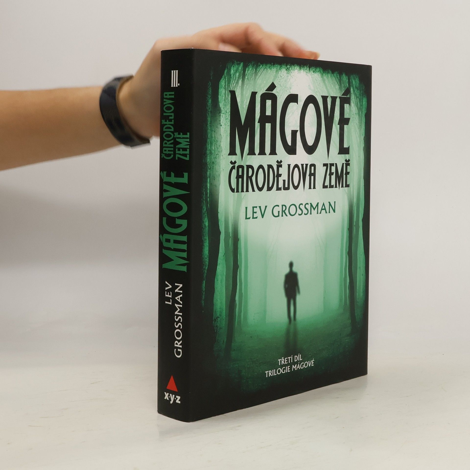 Lev Grossman Mágové: Čarodějova země