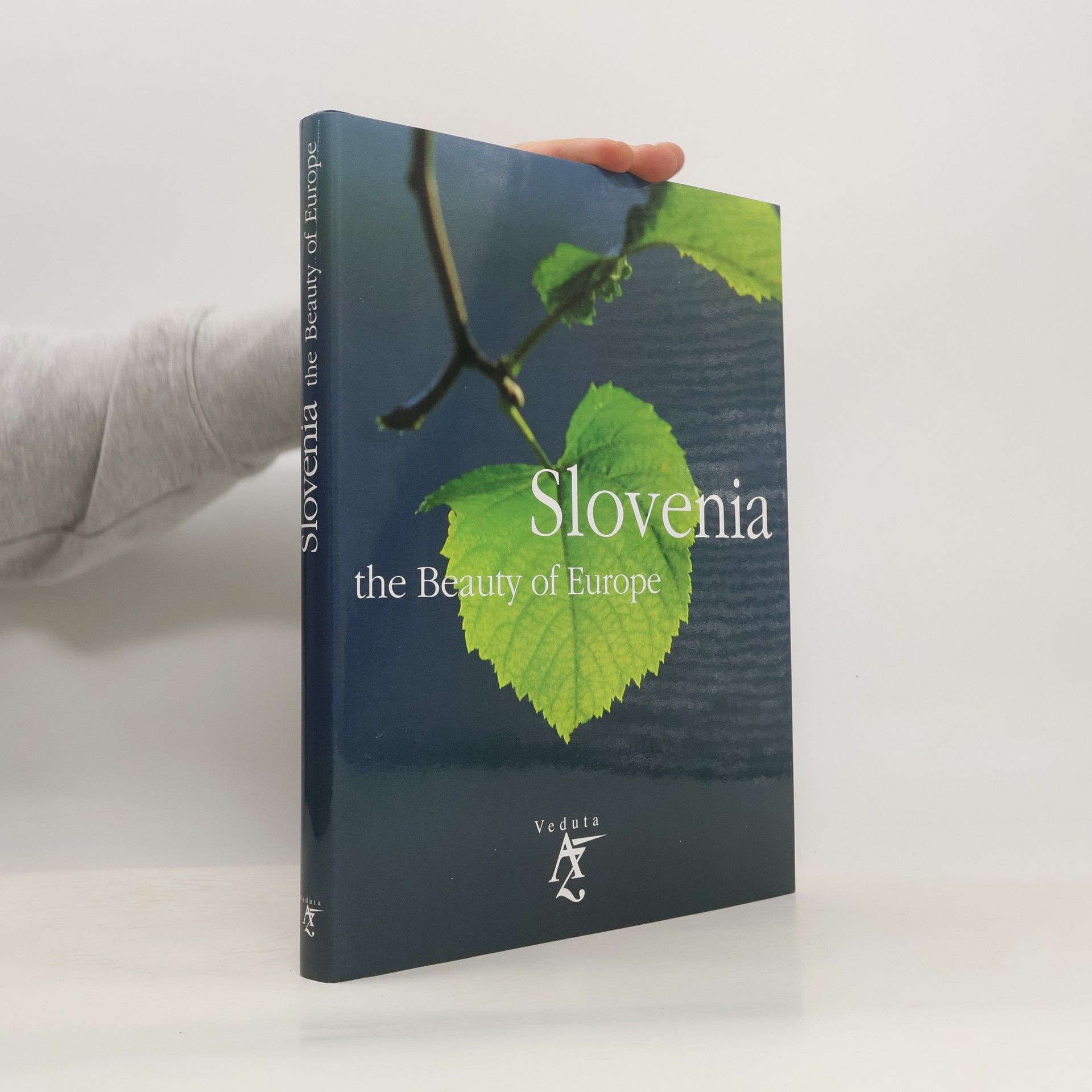 Collectif d'auteurs Slovenia: the Beauty of Europe