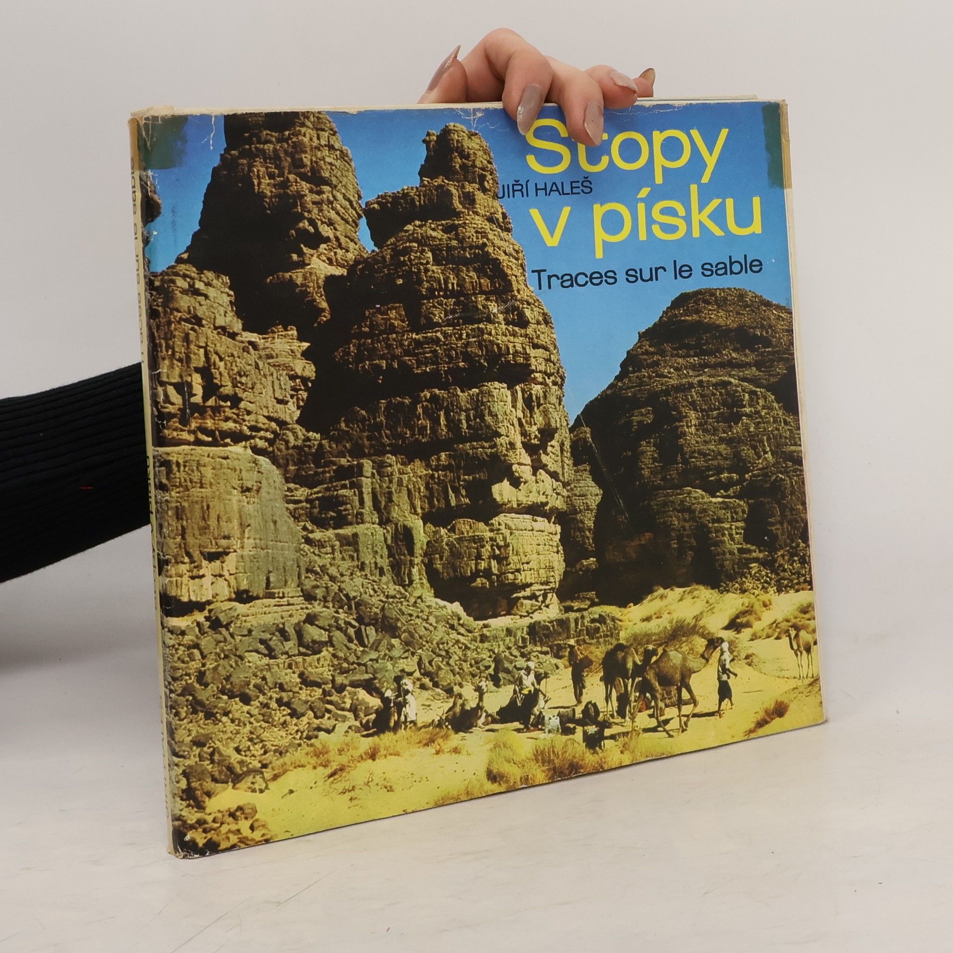 Stopy v písku. Traces sur le sable