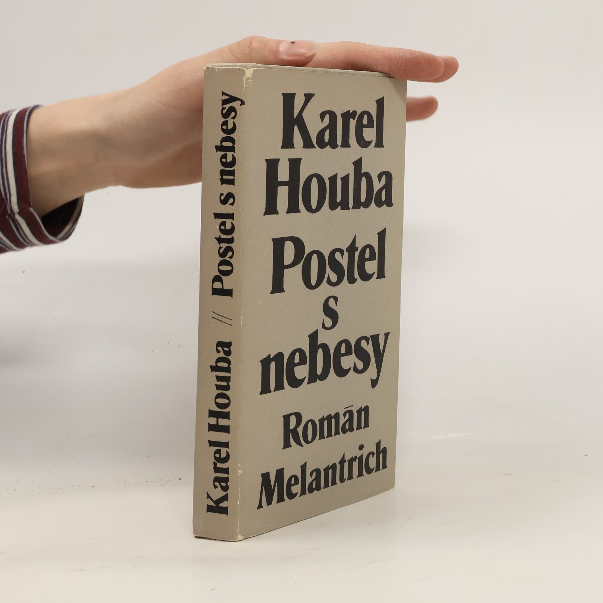 Karel Holub Postel s nebesy