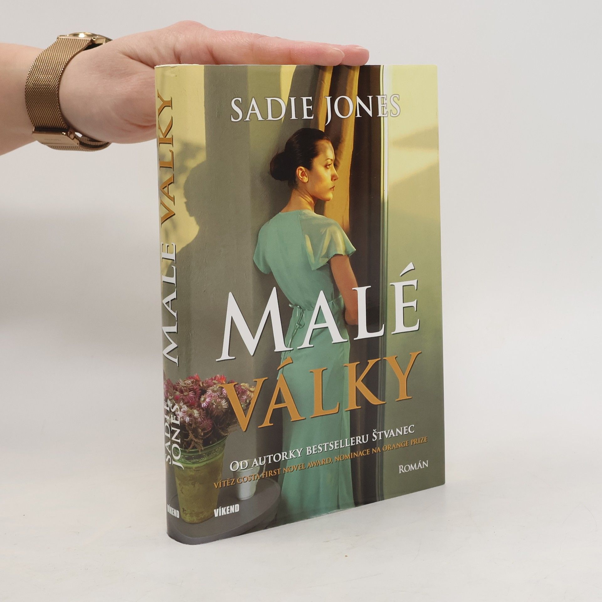 Sadie Jones Malé války