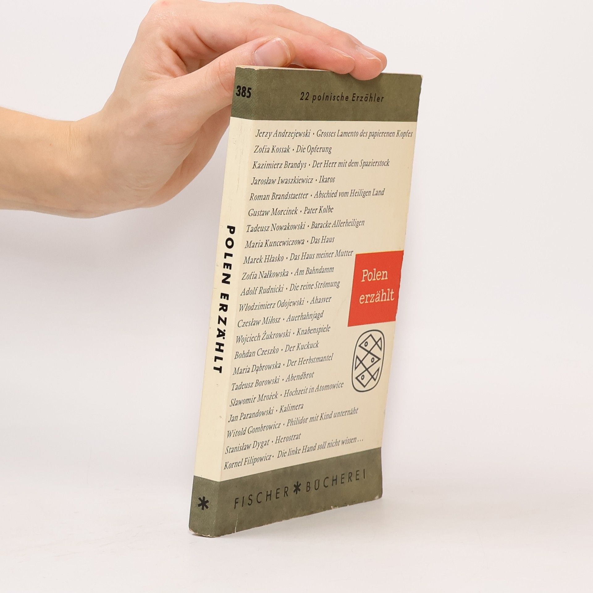 Collectif d'auteurs Polen erzählt
