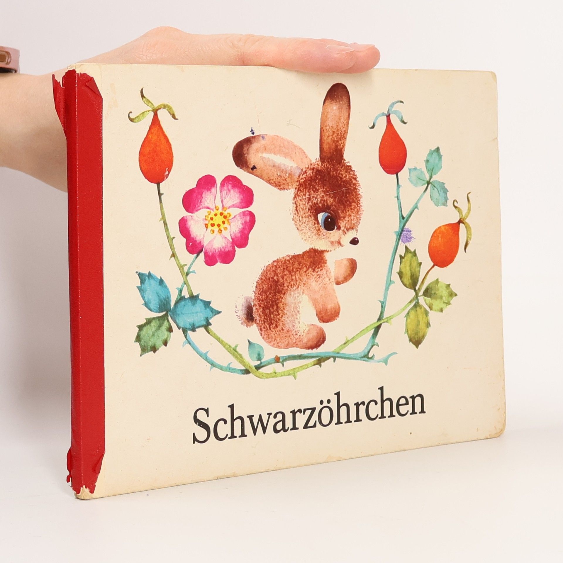 Autorenkollektiv Schwarzöhrchen