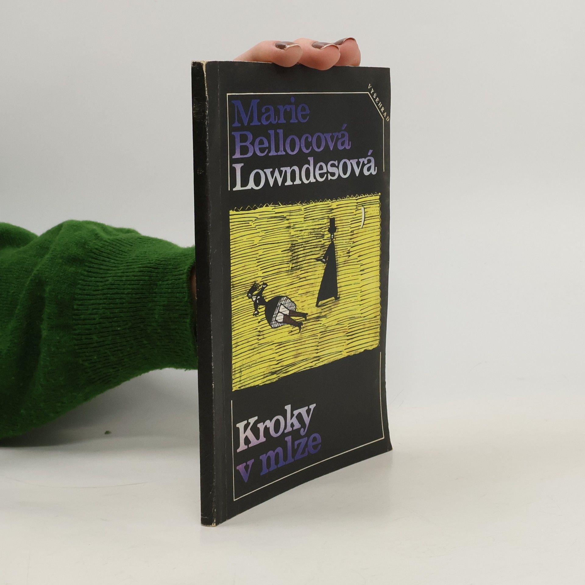 Eva Kondrysová Kroky v mlze