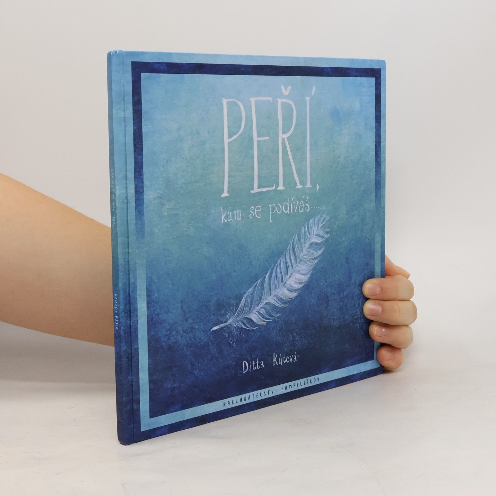 Peří, kam se podíváš