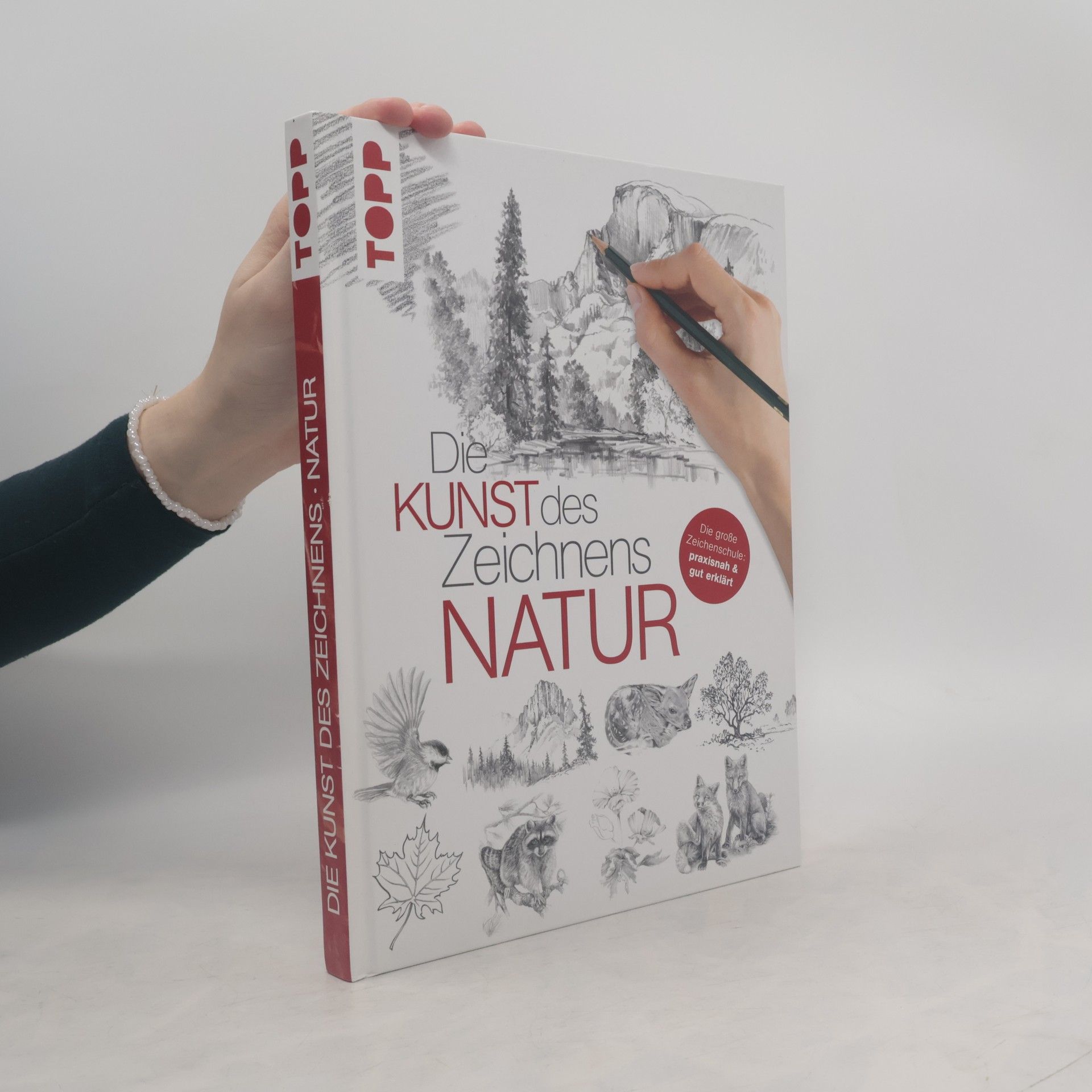 Kolektiv autorů Die Kunst des Zeichnens - Natur