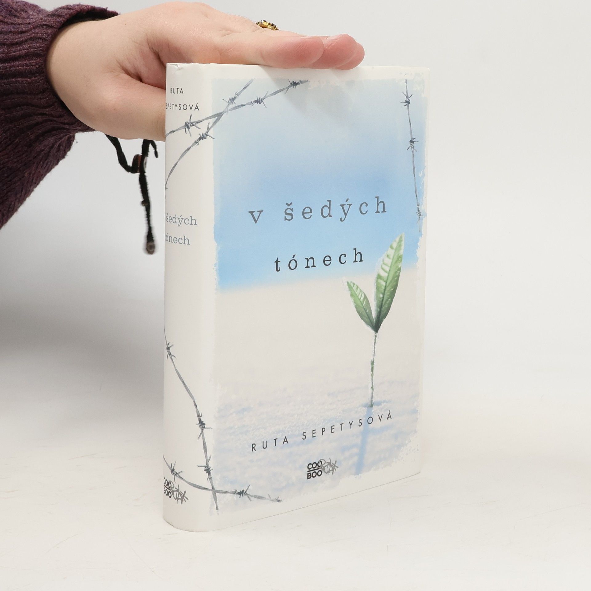 Ruta Sepetys V šedých tónech