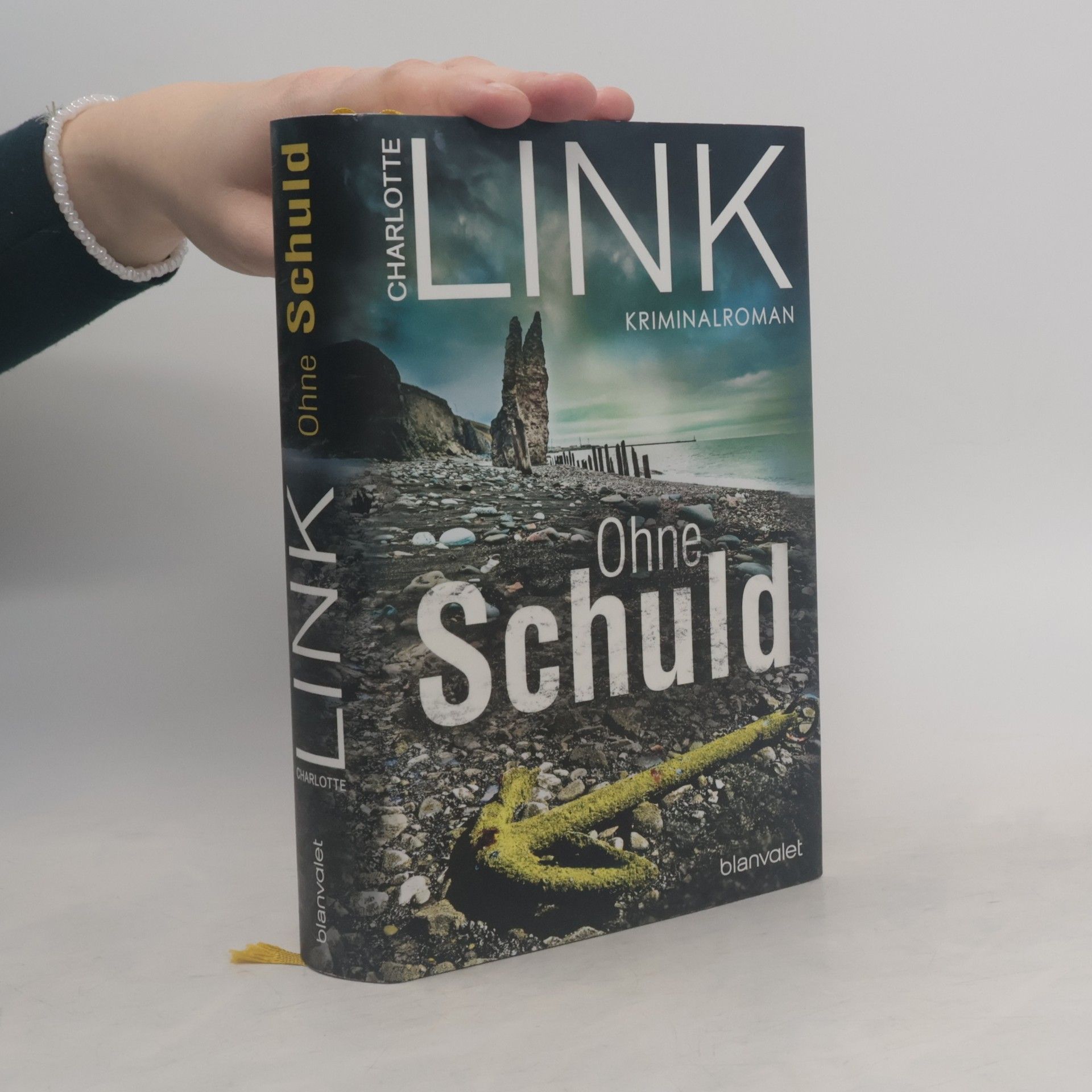 Charlotte Link Ohne Schuld