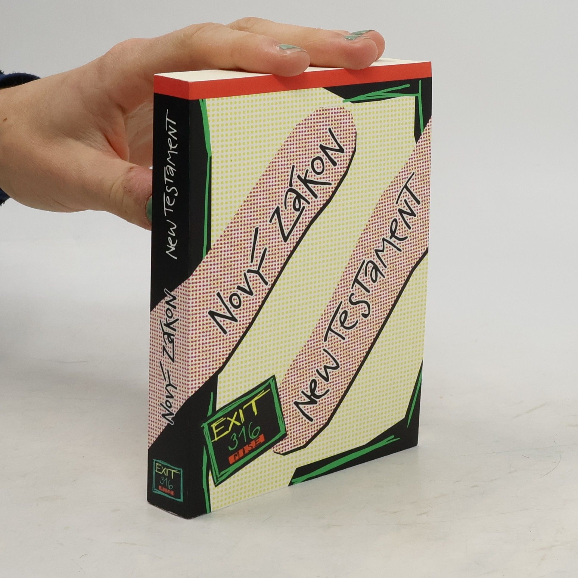 Collectif d'auteurs Nový zákon / New Testament