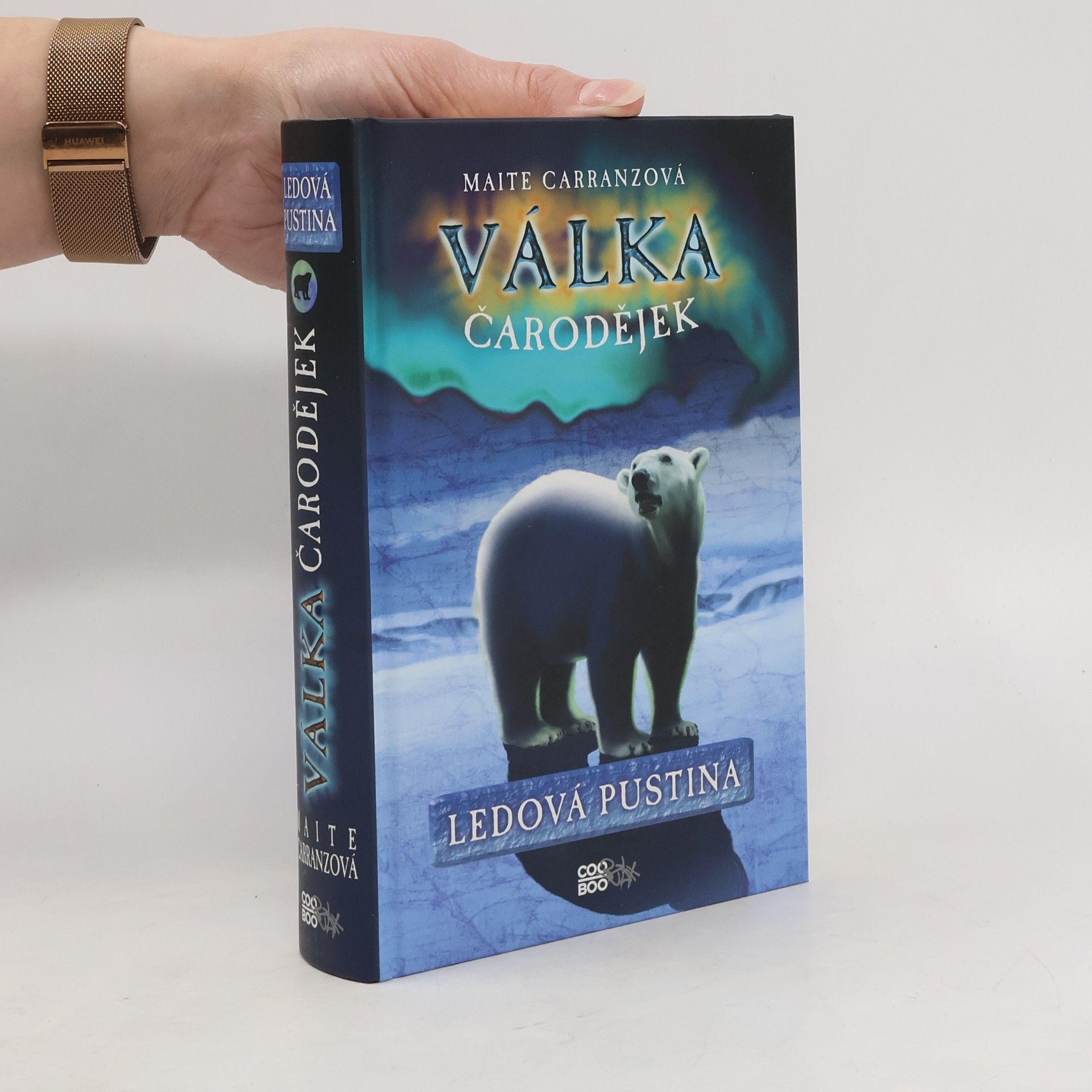 Maite Carranza Ledová pustina. Válka čarodějek