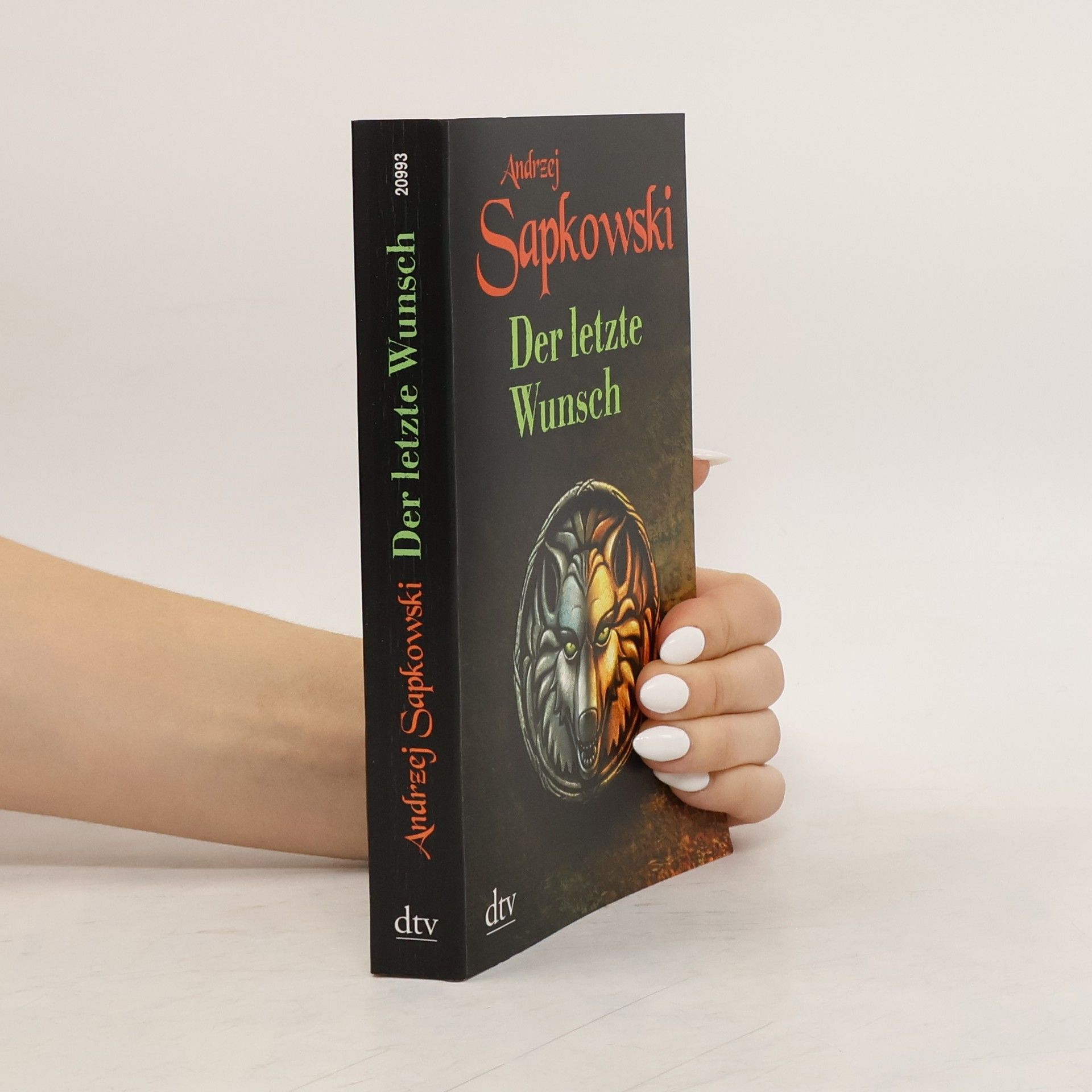 Andrzej Sapkowski Der letzte Wunsch